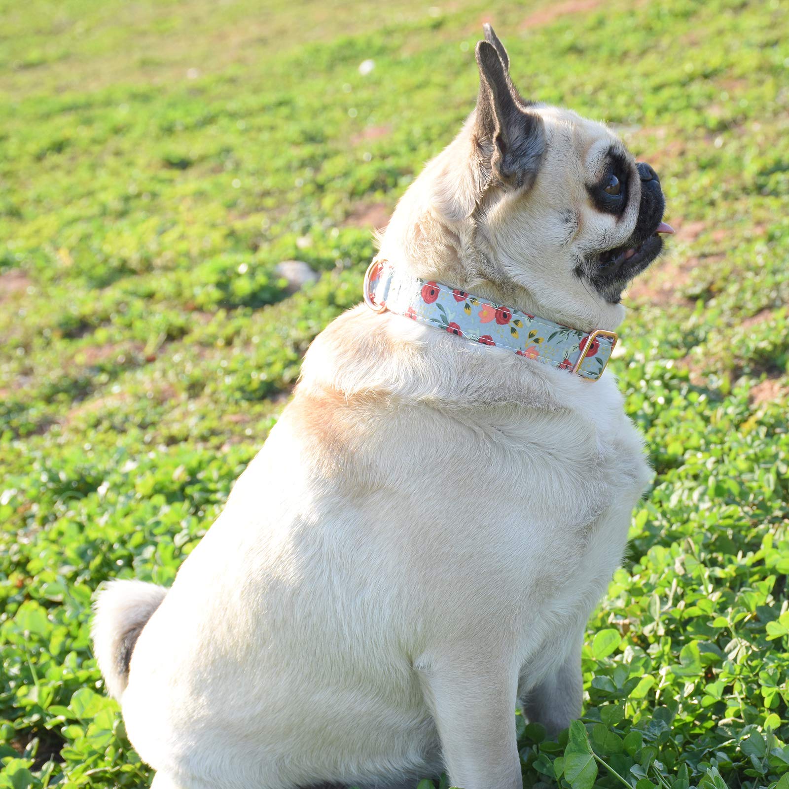 Metal Buckle Dog Collar, Durable Adjustable Dog Collar Soft For Small Medium Large Dogs (001-Flower11, M(13-18In))