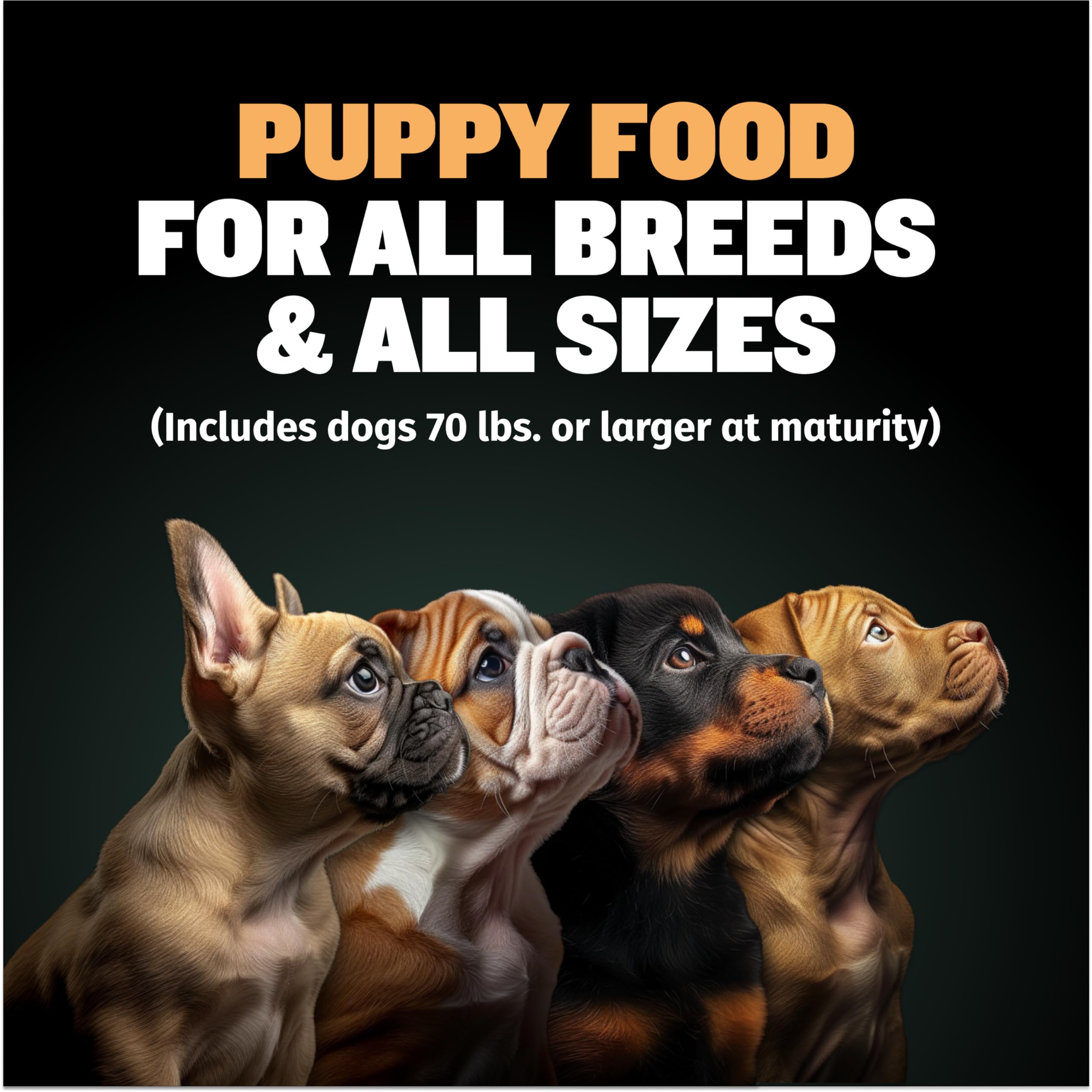 Bully Max Wet Puppy Food - Instant Fresh Dehydrated High Protein Soft Dog Food with Chicken - Healthy Growth for Small & Large B