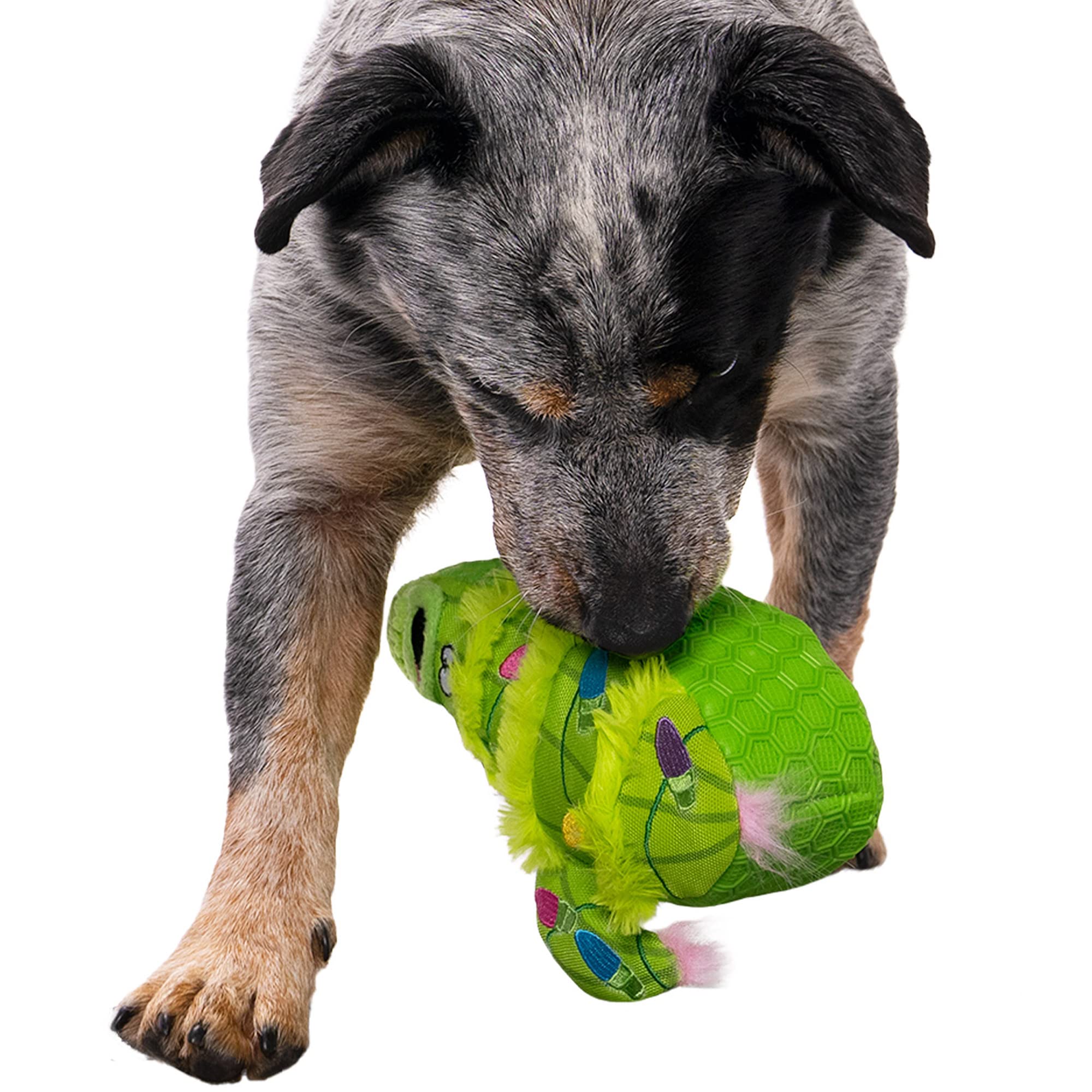goDog Holiday Collection Cactus Squeaky Dog Toy, One Size, TPE Plush, Chew Guard Technology, Green
