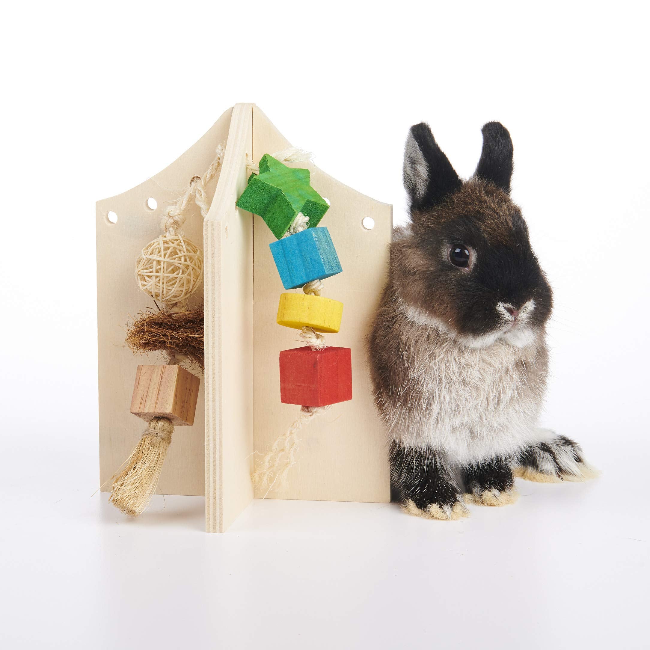 Oxbow Enriched Life Play Center, Small