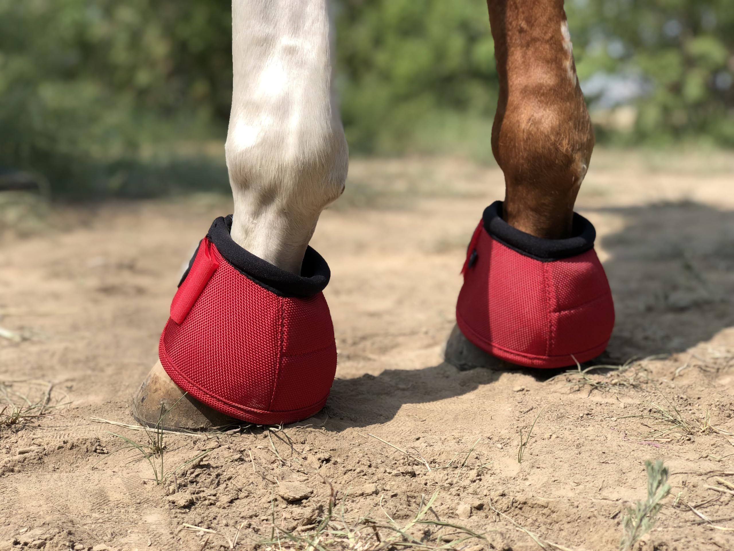 Tgw Riding 2520D Horse Bell Boots No-Turn Horse Bell Boots, Equine Ballistic Hoof Overreach Bell Boot, Pair (Red, M)
