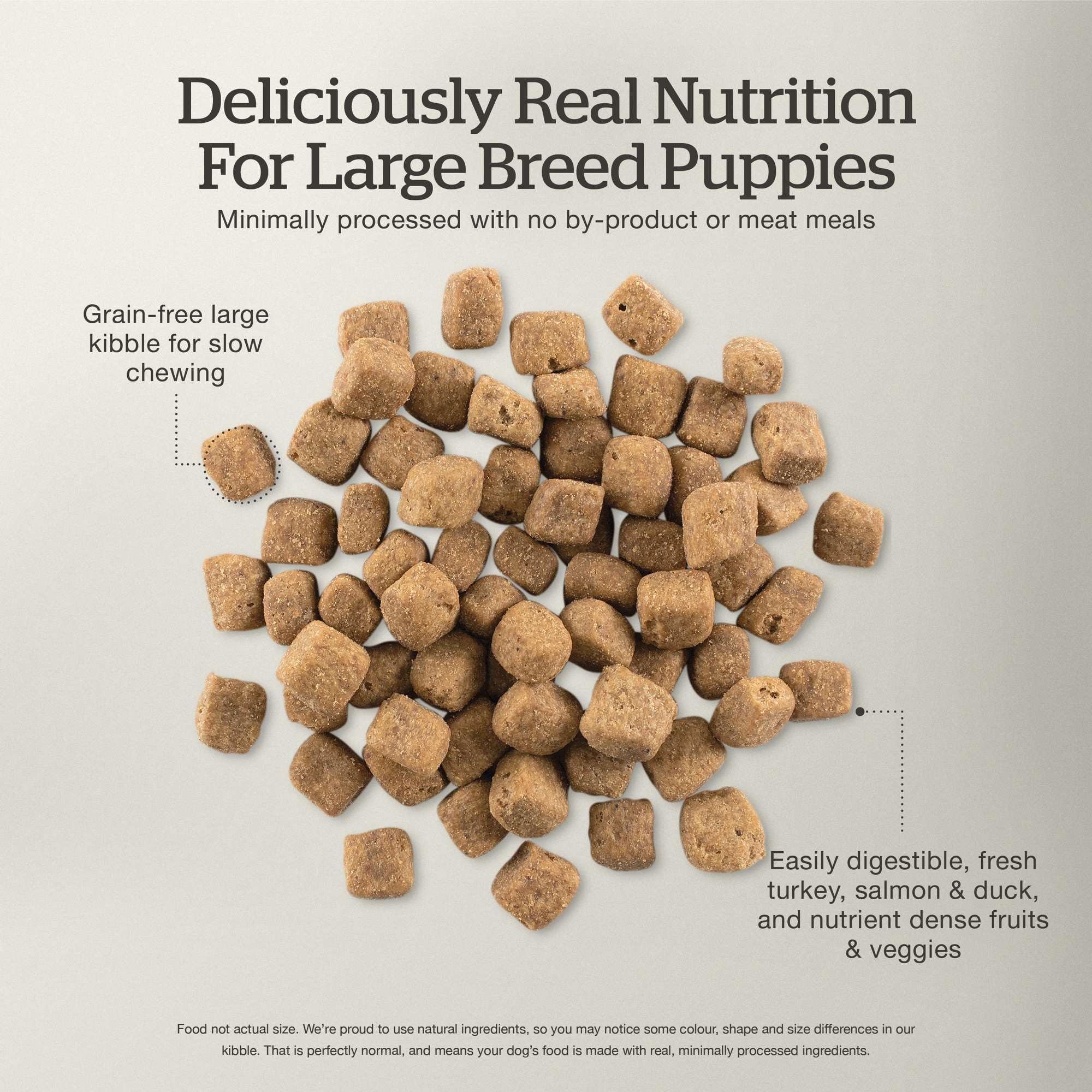 Now Fresh Grain-Free Large Breed Dry Puppy Food with Turkey, Salmon & Duck, Healthy Kibble for Growing Dogs with Real Poultry &