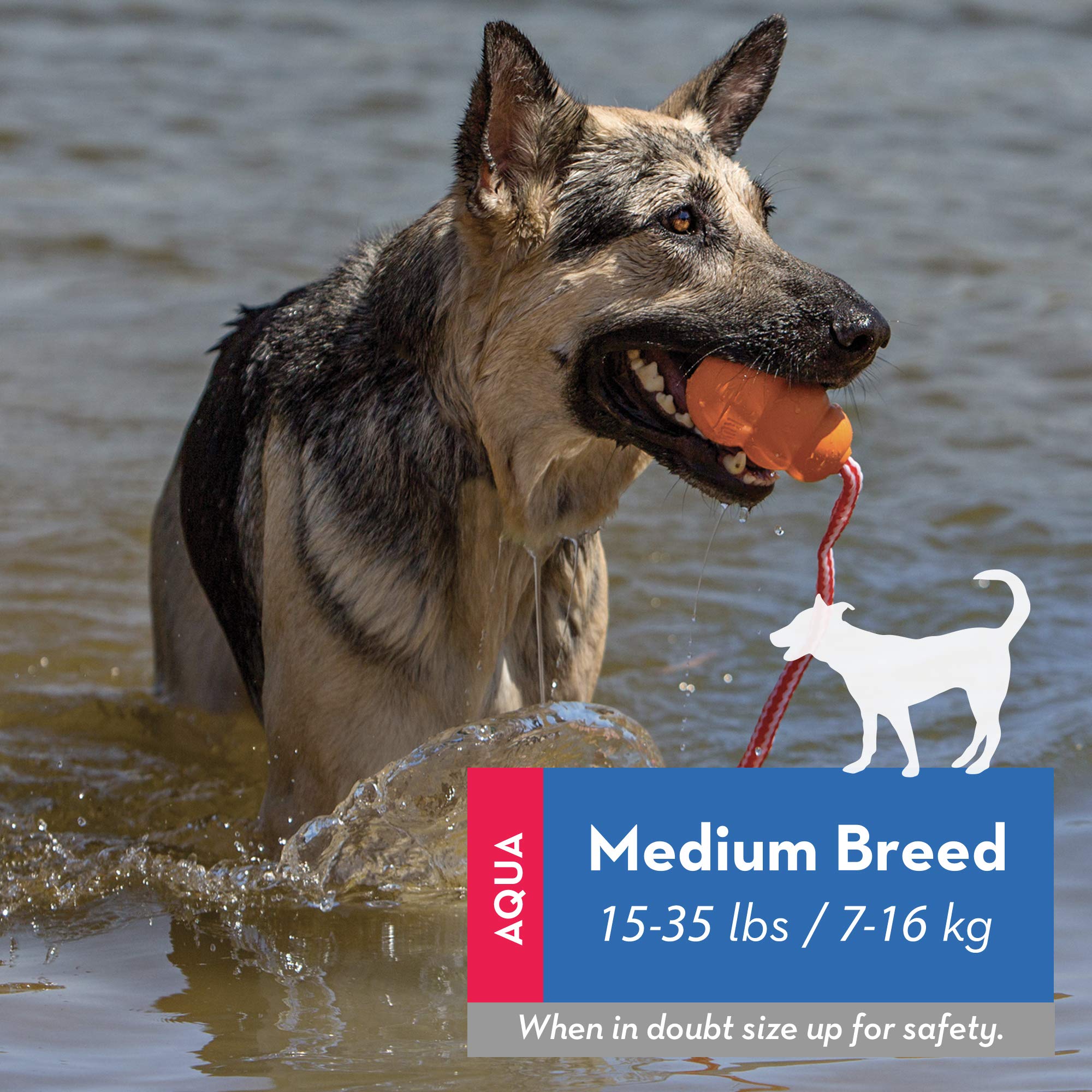 KONG Aqua Floating Fetch Toy - Dog Floating Toy for Water Retrieval, Play, Exercise & More - Natural Rubber Dog Toy with Foam In