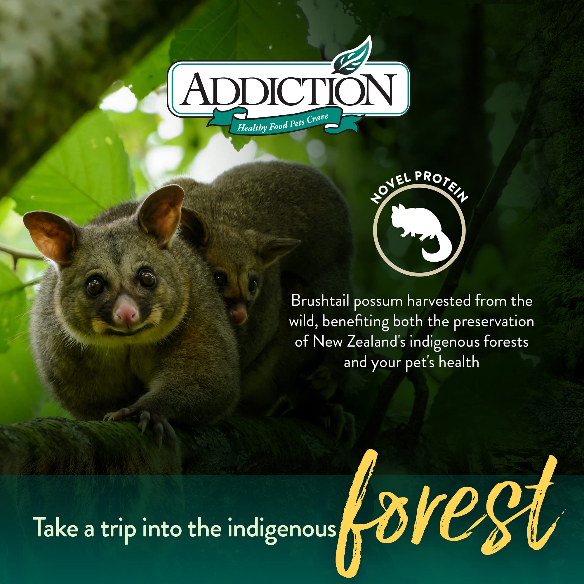 Addiction Perfect Summer Brushtail Air-Dried Grain-Free Dog Food - Complete Meal or Topper with Natural Ingredients for Digestiv