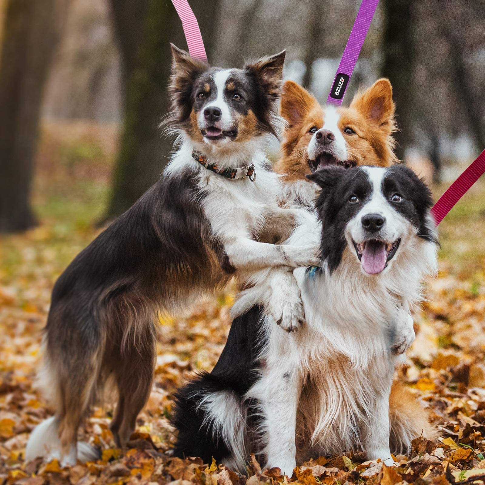 Azuza 3 Pack Nylon Dog Leashes,Strong & Durable Basic Style Leash With Easy To Use Collar Hook,Available In Multiple Lengths For Small Dogs, Hot Pink/Pink/Purple