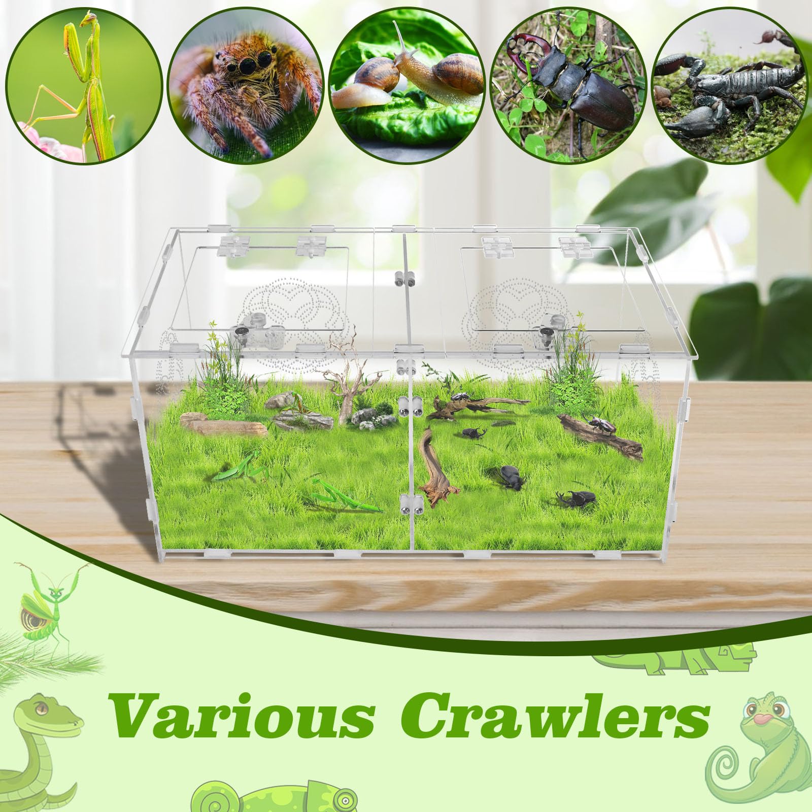 Acrylic Jumping Spider Enclosure With Double Compartments, Large Size,15.7 * 7.8 * 7.8 Inches, Reptile Terrarium Aquarium Breedi