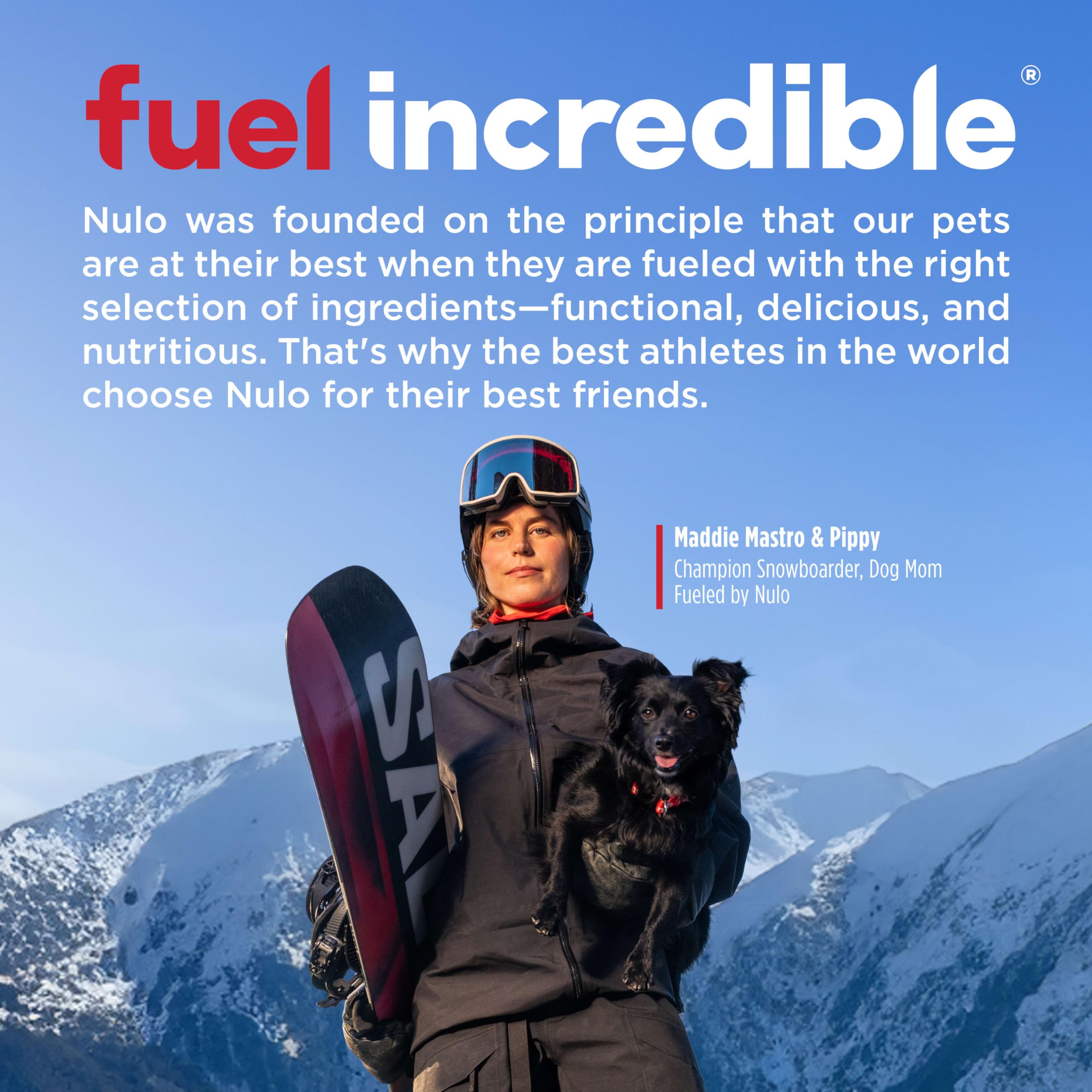 Nulo Freestyle High Protein Small Breed Beef & Sweet Potato Recipe Natural Dry Kibble Dog Food, 14 Pound Bag