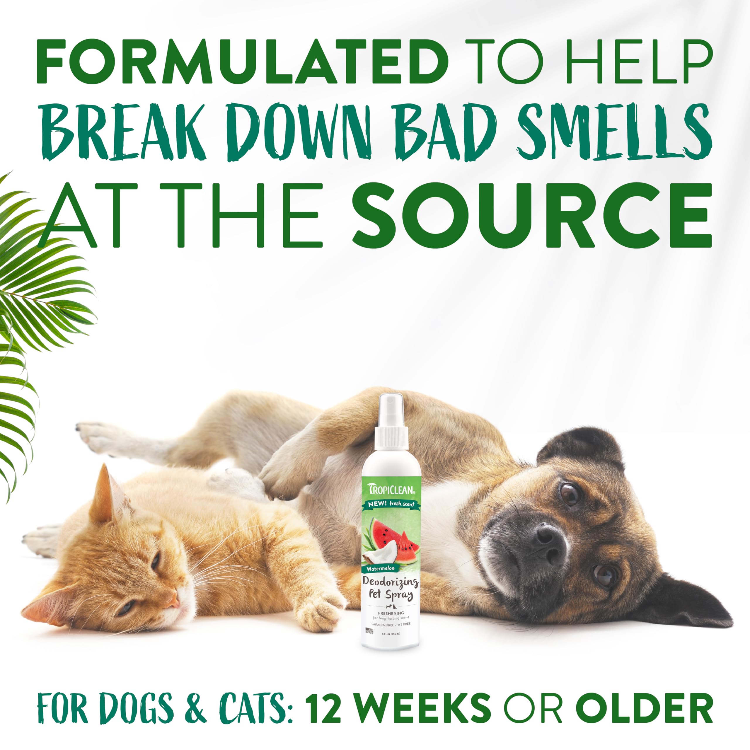 Tropiclean Watermelon Cat & Dog Deodorizing Spray | Cat & Dog Grooming Supplies | 8 Oz | Made In The Usa