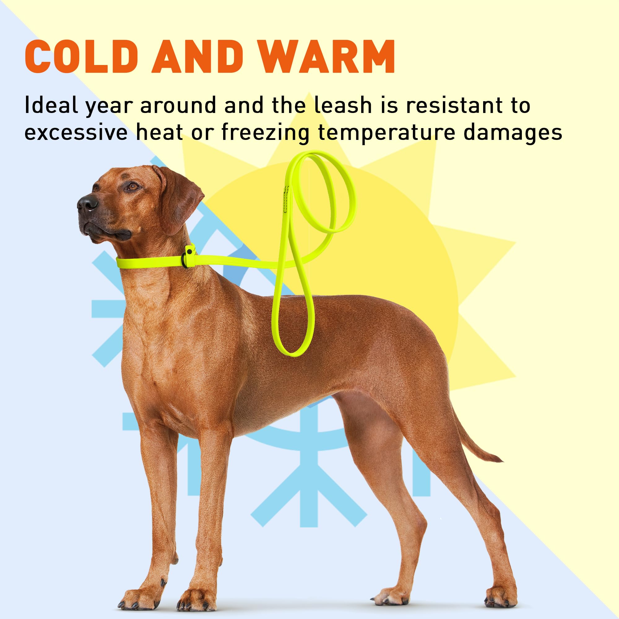Dogline Biothane Slip Dog Leash - For Small, Medium And Large Dogs - Odor Free Slip Lead, Heavy Duty And Durable Material Kennel Lead - Safety Yellow - 5Ft L X 3/8In W