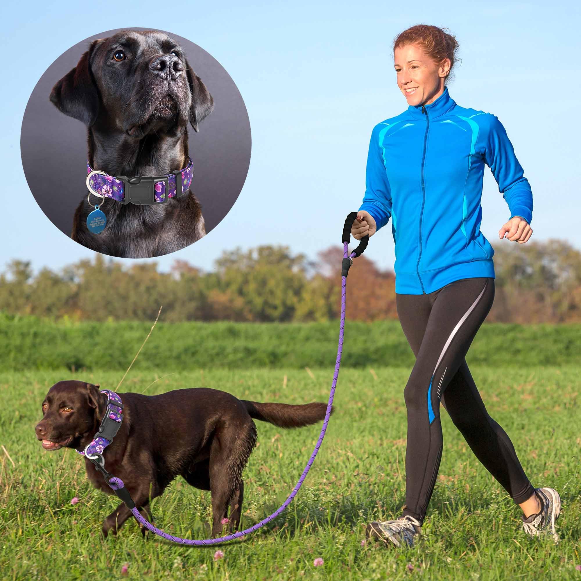 Ladoogo Reflective Dog Collar Padded With Soft Neoprene Breathable Adjustable Nylon Dog Collars For Small Medium Large Dogs (Medium (Pack Of 1), Purple/Pink Floral Collar+Leash)