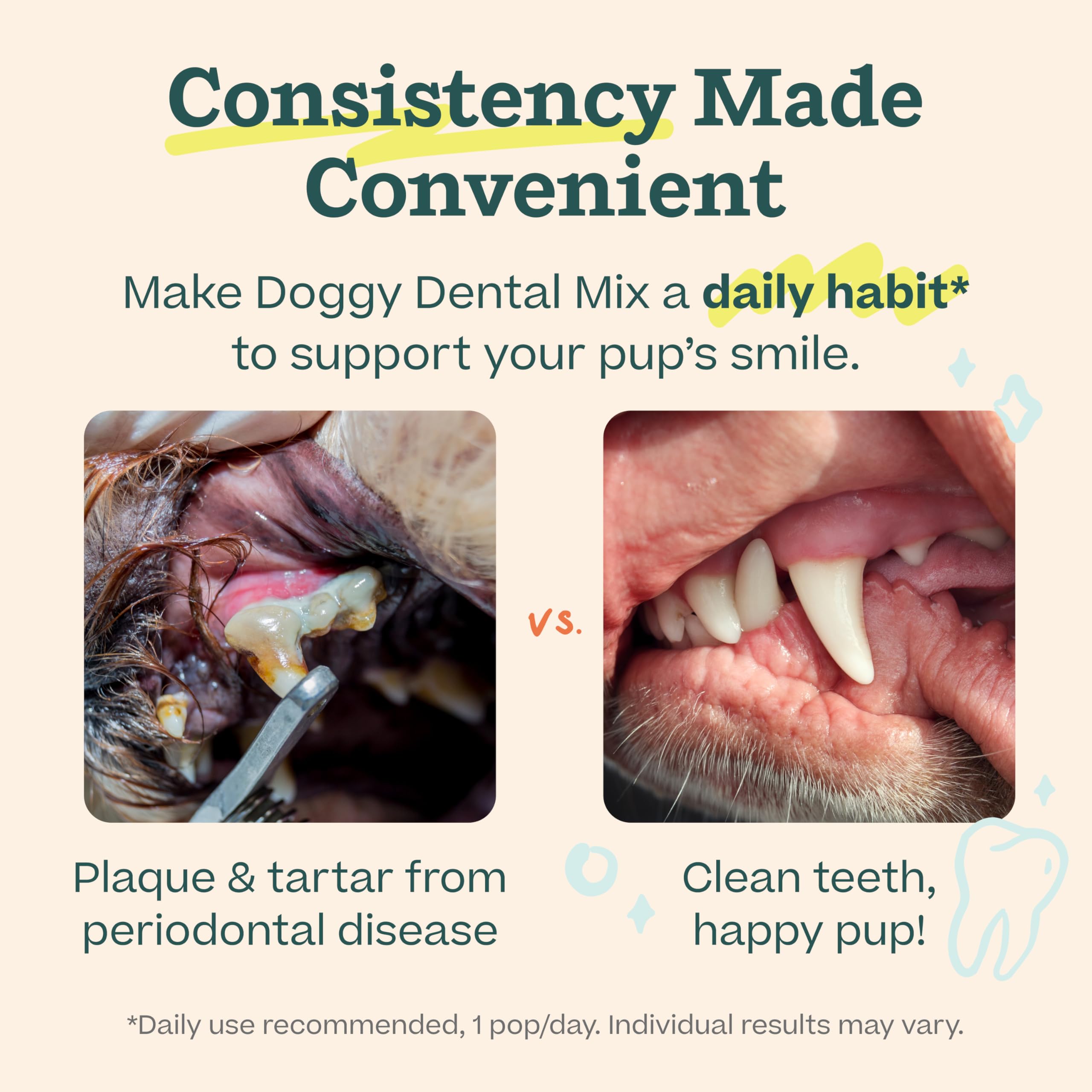 Woof Doggy Dental Pupsicle Mix - Dog Teeth Cleaning Powder for The Pupsicle - Long Lasting Postbiotic Dental Enzyme Mix to Suppo