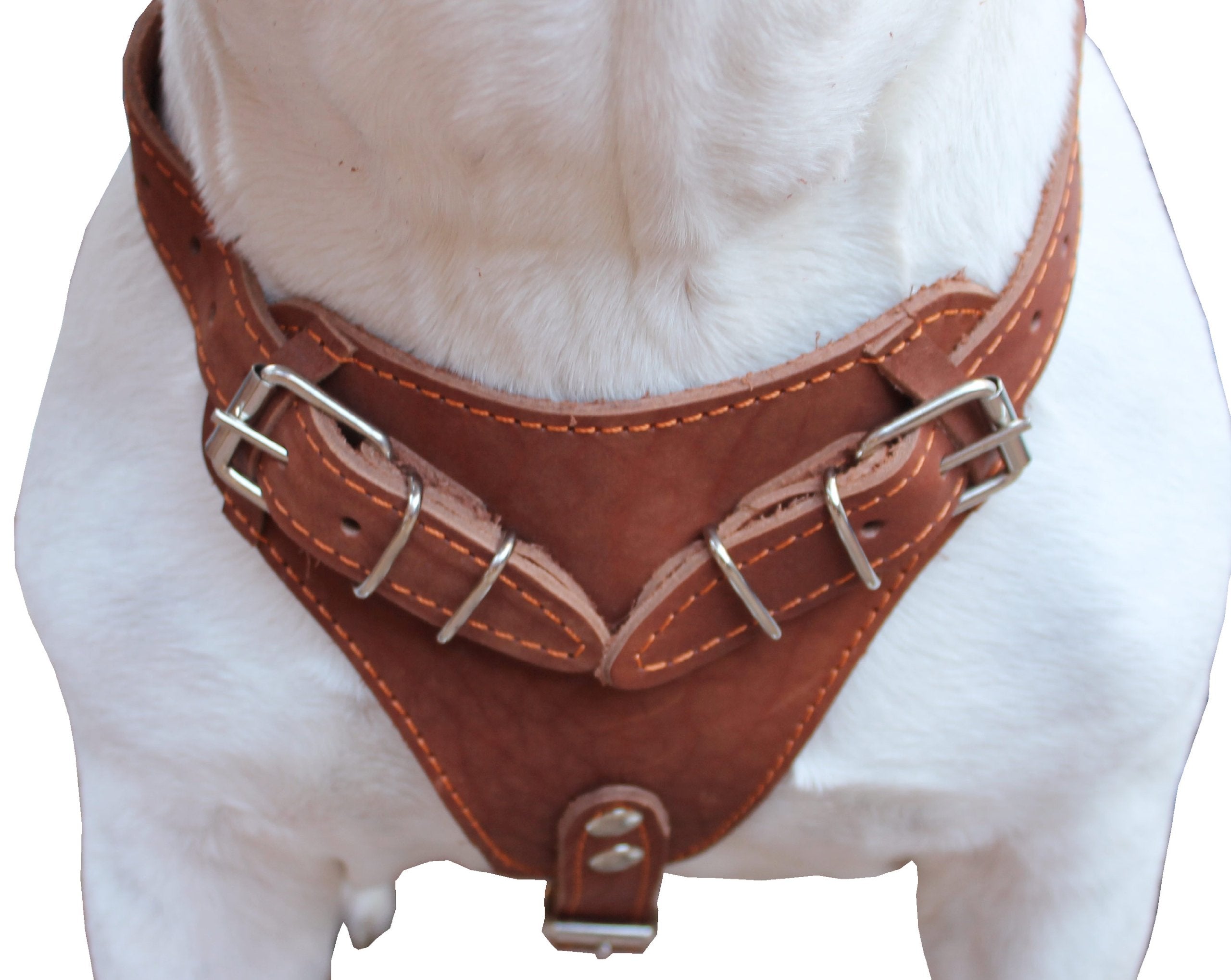 Genuine Leather Dog Harness, 33'-41' Chest, 1' Wide Straps Newfoundland, Great Dane