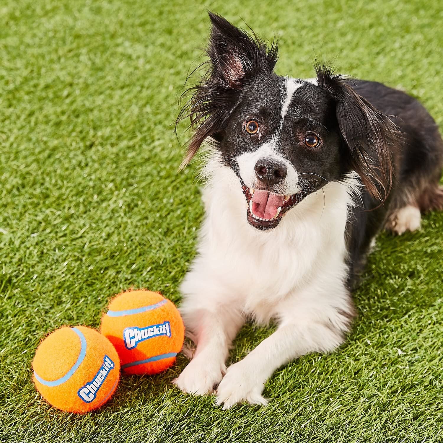 Chuckit! 6 Pack Of Tennis Balls, Small, Launcher Compatible Dog Toys