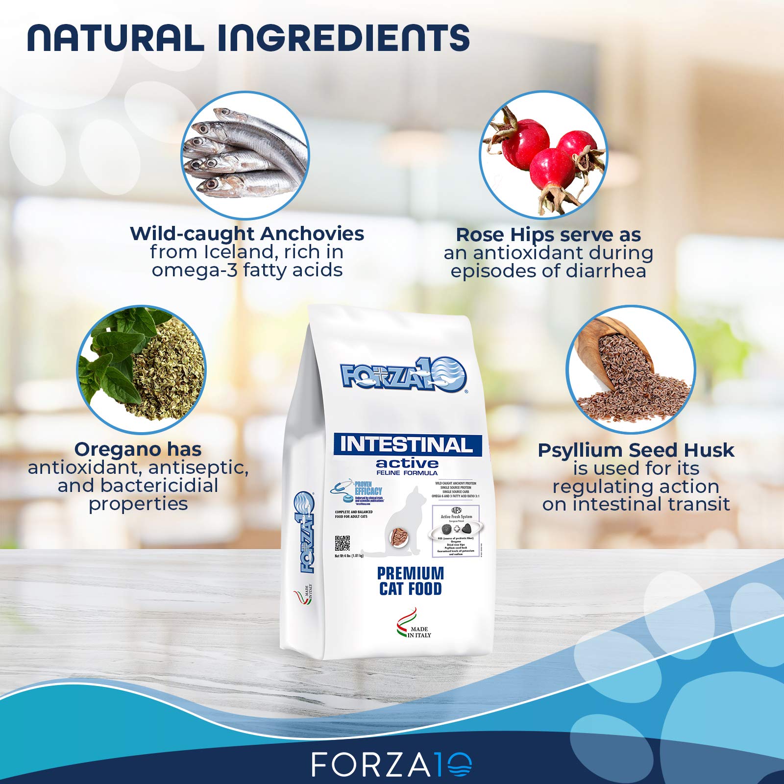 Forza10 Active Intestinal Support Diet Dry Cat Food for Adult Cats, Cat Food Dry for Upset Stomach, Diarrhea and Intestinal Diso