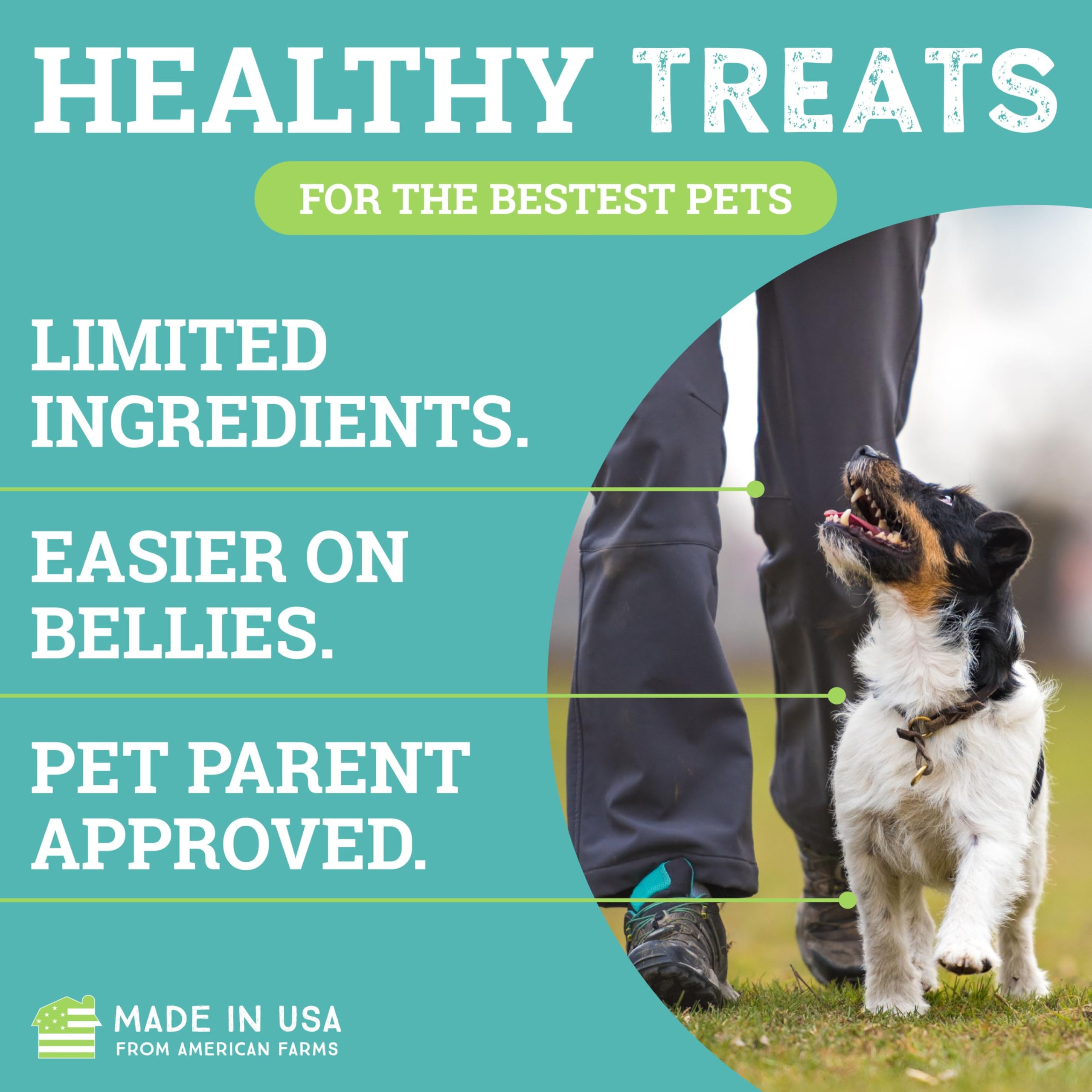 ETTA SAYS! Sit Cheese Training Treats for Dogs 16 Ounce Soft Dog Treats - Made in The USA Dog Treats, Limited Ingredients, Low C