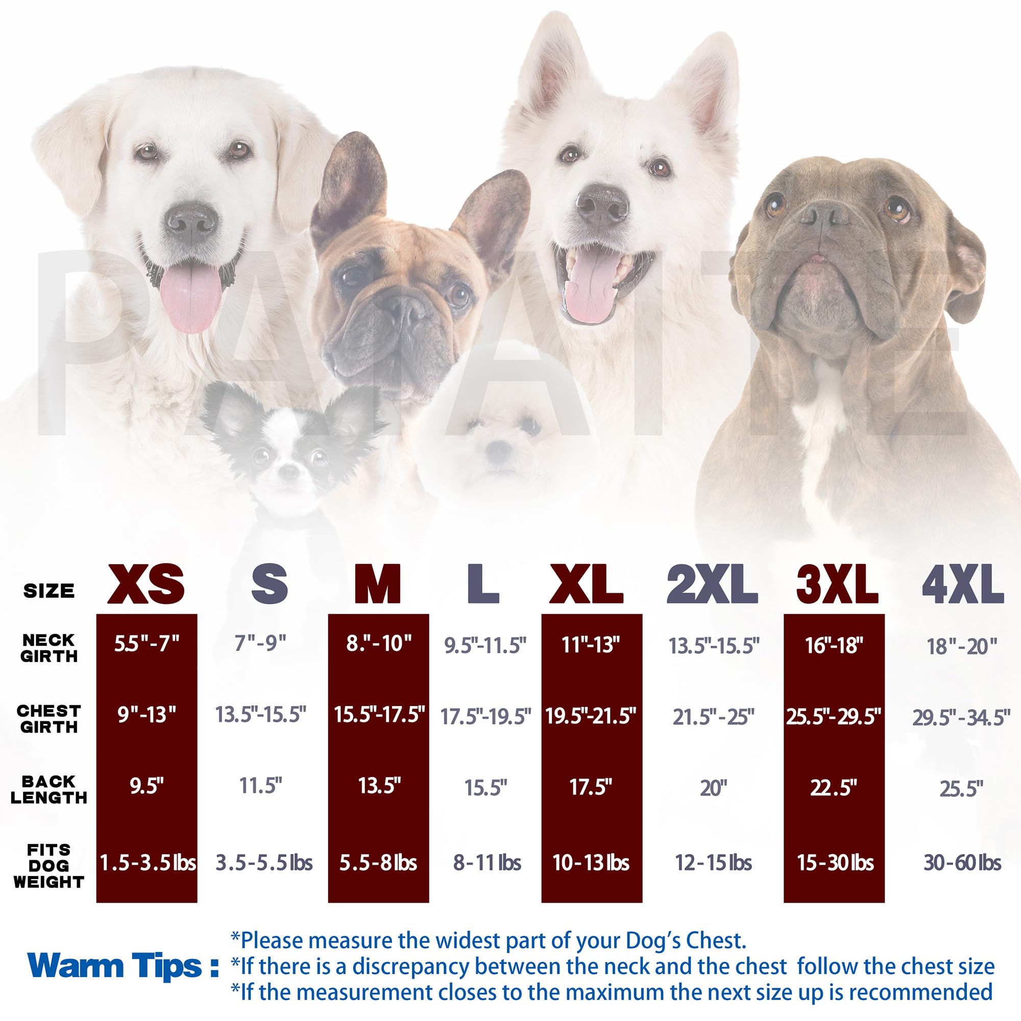 Paiaite 6 Pieces Plain Dog Shirt Sleeveless Puppy Cotton Dog Shirts Breathable Pet Apparel Tank Top Colorful Puppy Sweatshirt Cl