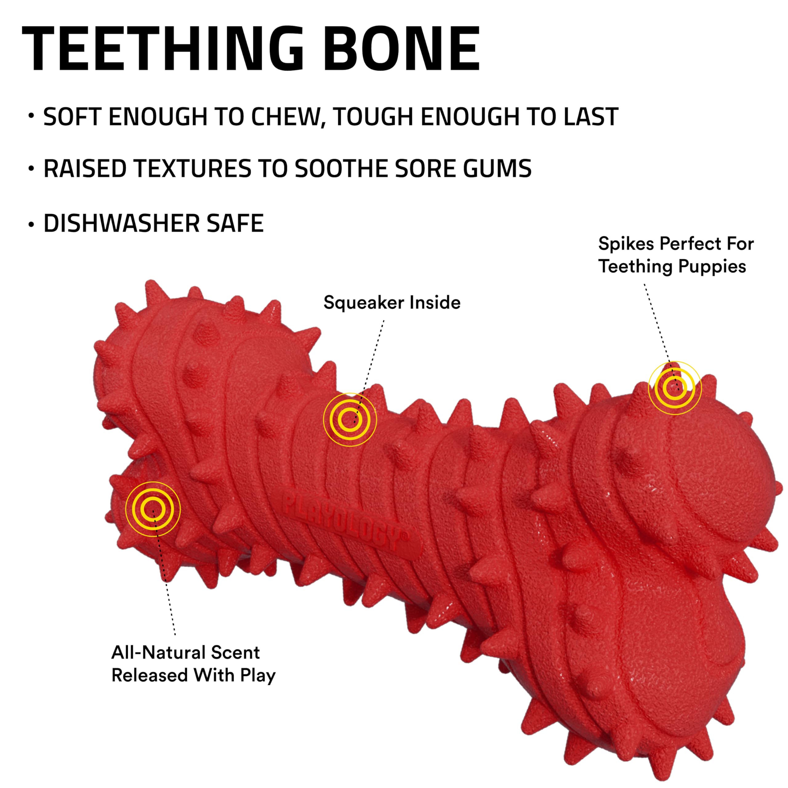 Playology Puppy Teething Bone Dog Toy - All-Natural Beef Scent, Small, Squeaker for Puppies 4-8 Months