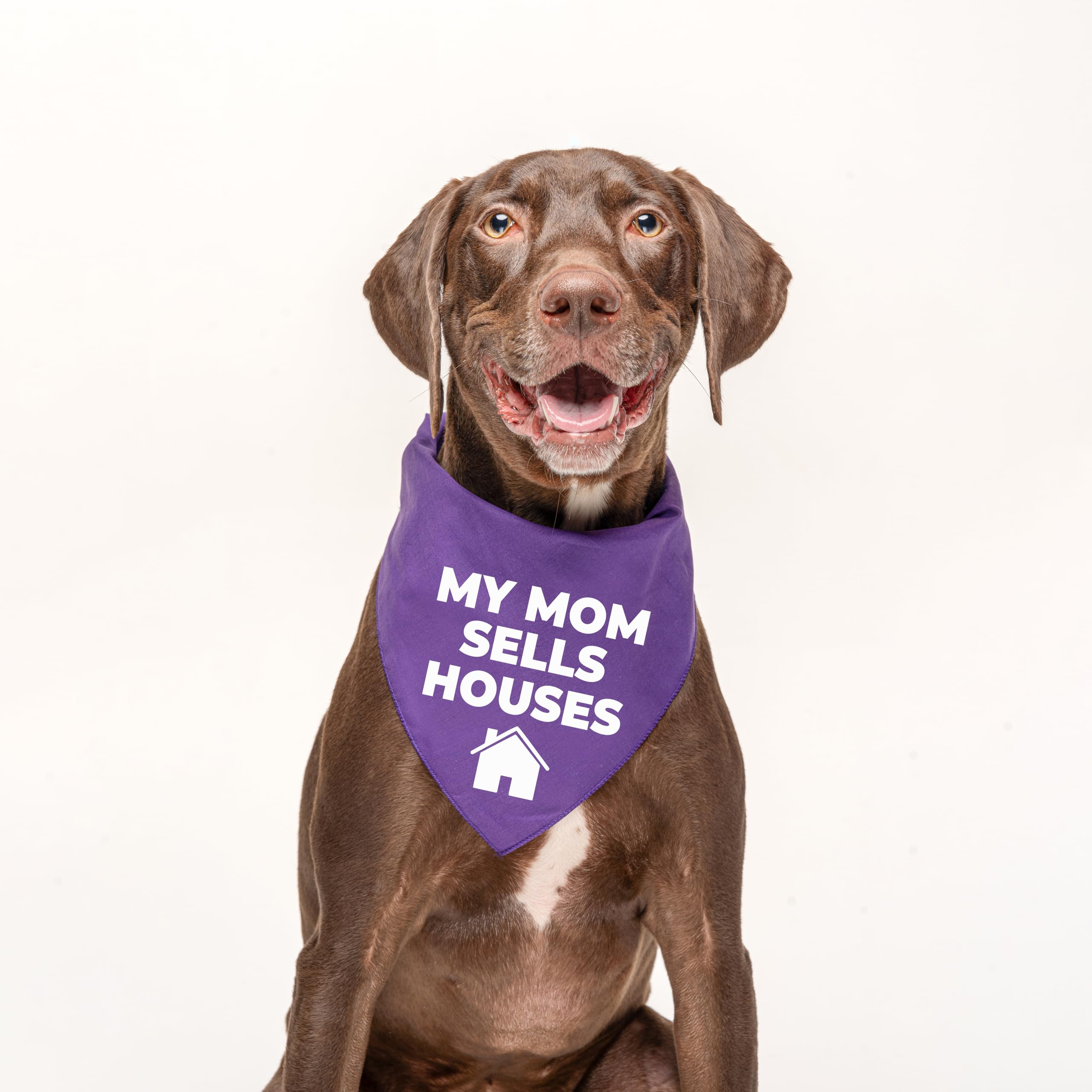 My Mom Sells Houses Real Estate, Realtor Dog Bandana (Black, Xs 18)