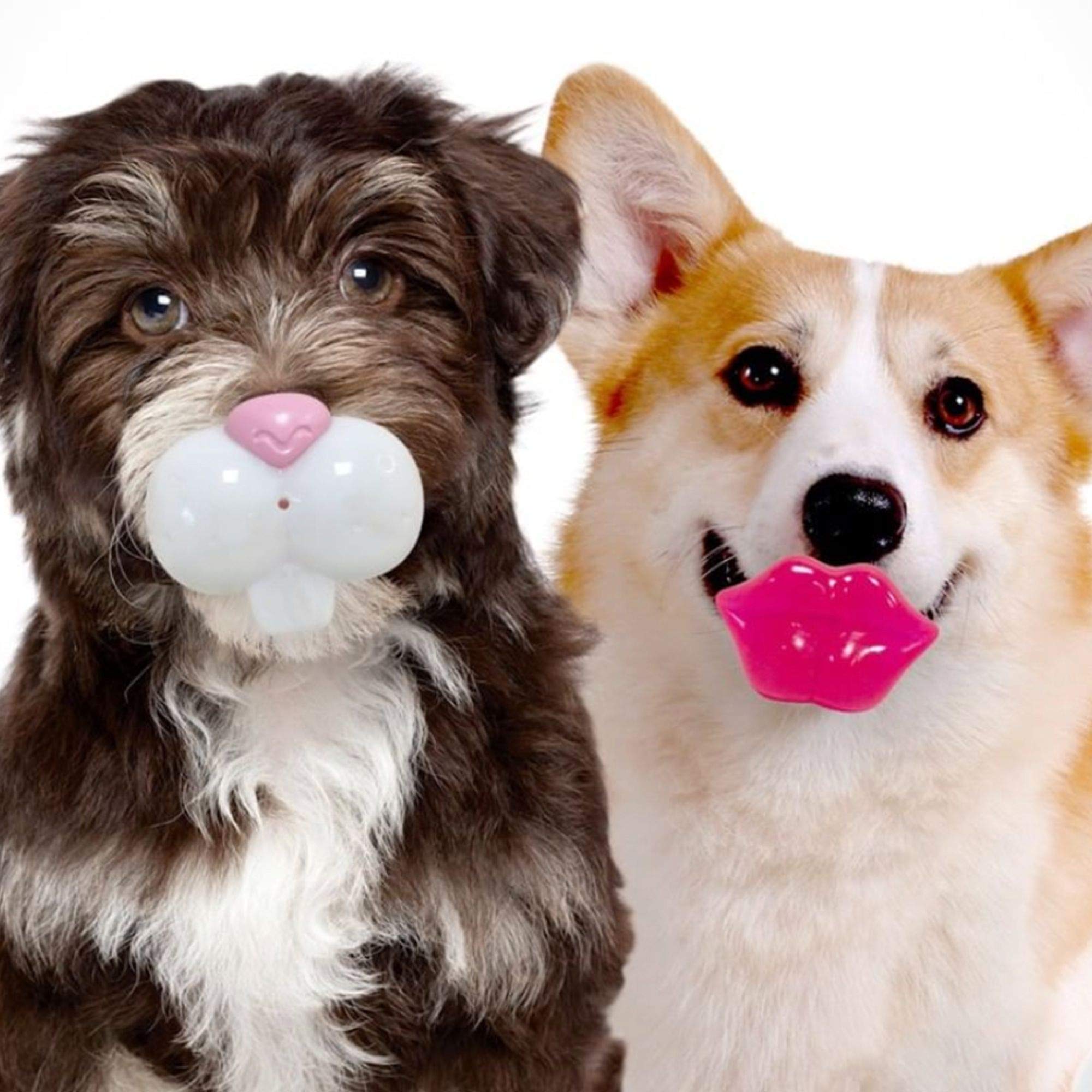 Foufit 85634 Paci-Chew Chew Toy For Dogs, Lips