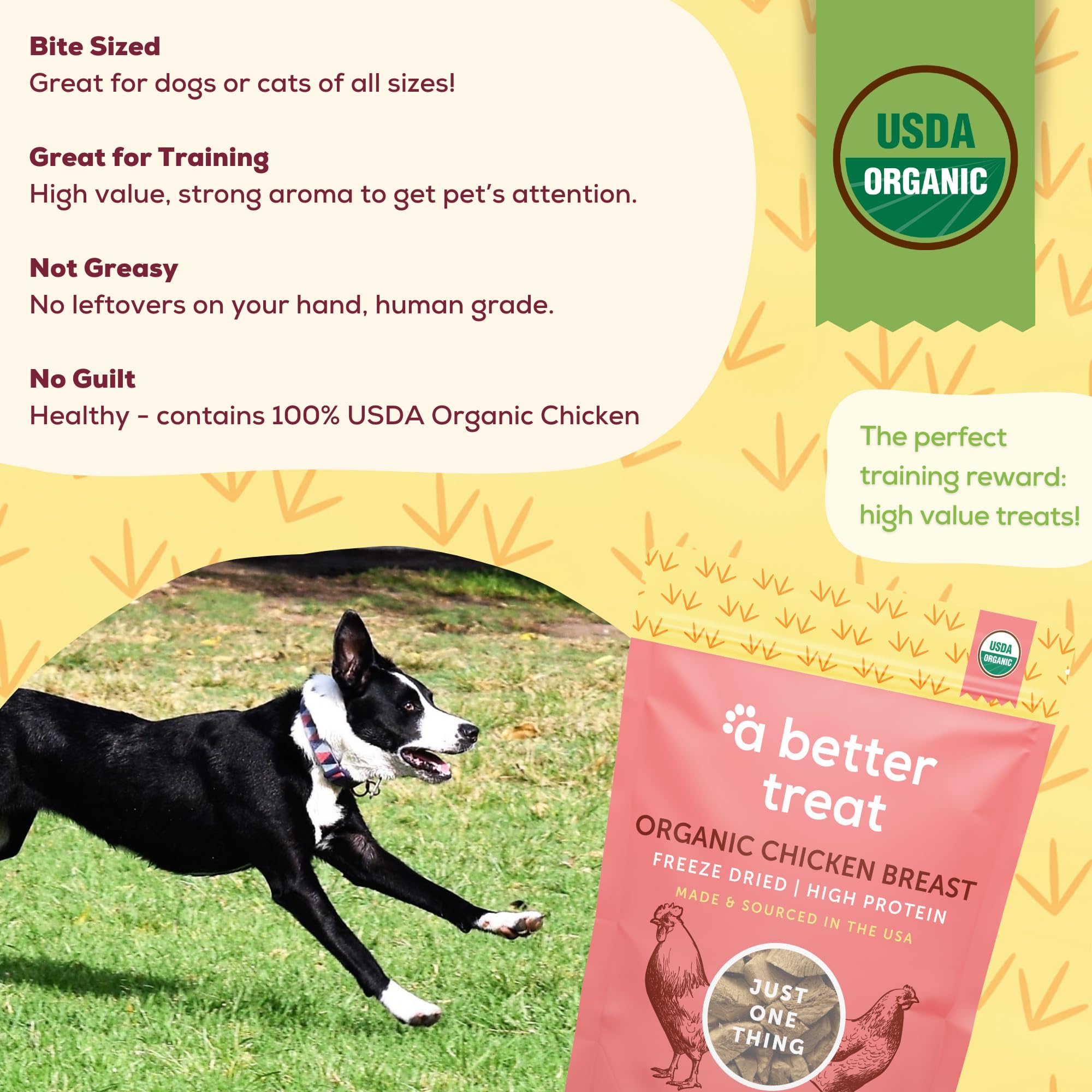 A Better Treat - Organic Freeze Dried Chicken Breast Dog Treats, Organic, Single Ingredient | Natural Healthy High Value | Glute