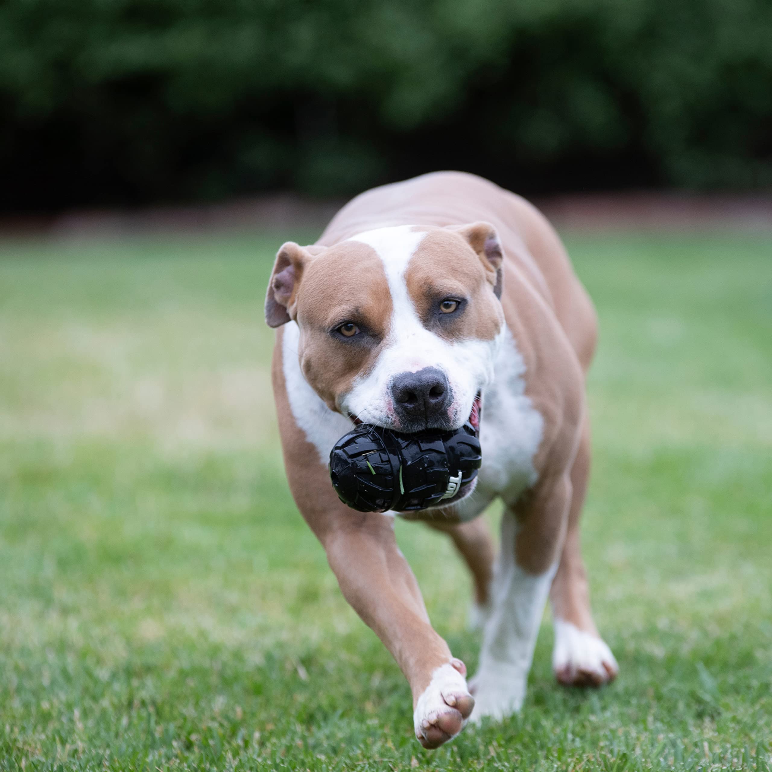 Tonka Tri-Stack Tread Feeder Dog Toy, Lightweight, Durable And Water Resistant, 4 Inches, For Medium/Large Breeds, Single Unit, Black