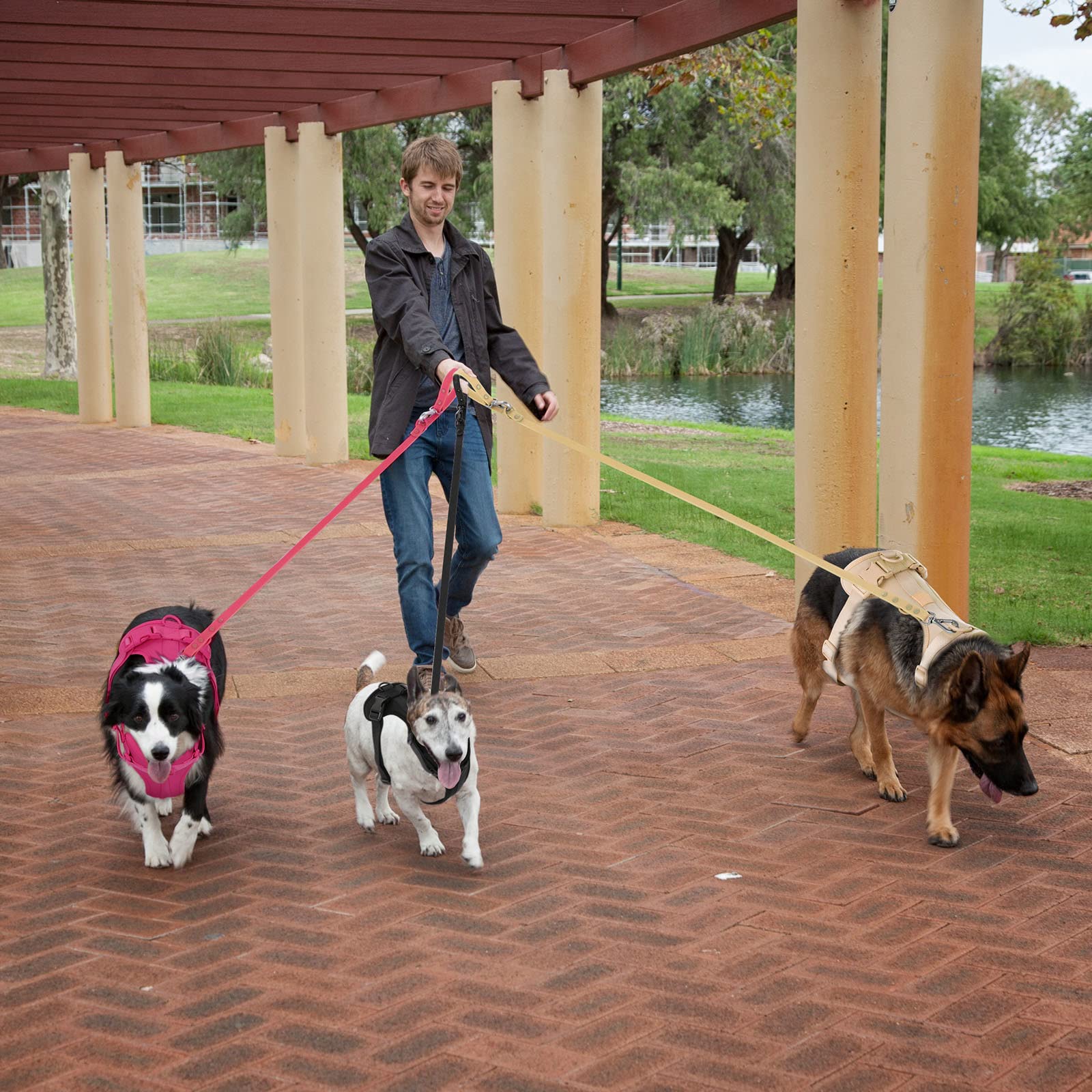 Wisedog No Pull Lightweight Dog Vest Harness With Soft And Comfortable Cushion, Breathable Mesh, For Small Medium Large Dogs Walking (S(Neck: 9.84'-14.17';Chest: 14.17'-22.05'), Peacock Pink)