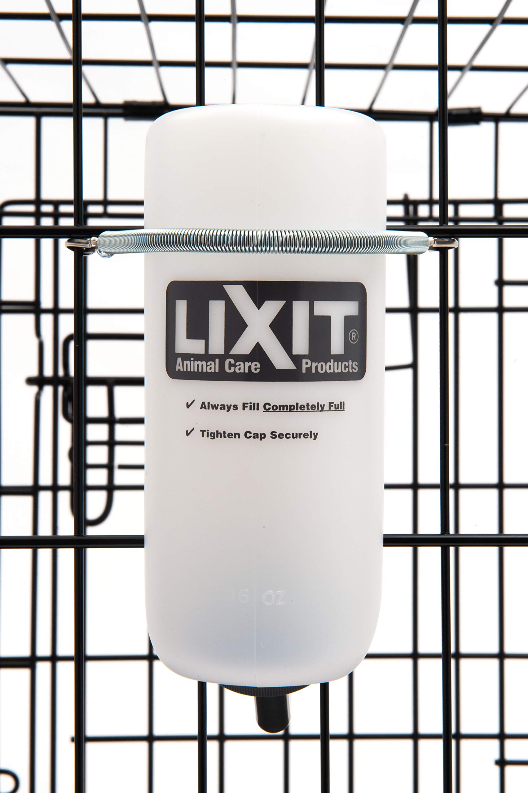 Lixit Wide Mouth Water Bottles For Large And Small Dogs (16Oz Small Dog, White)