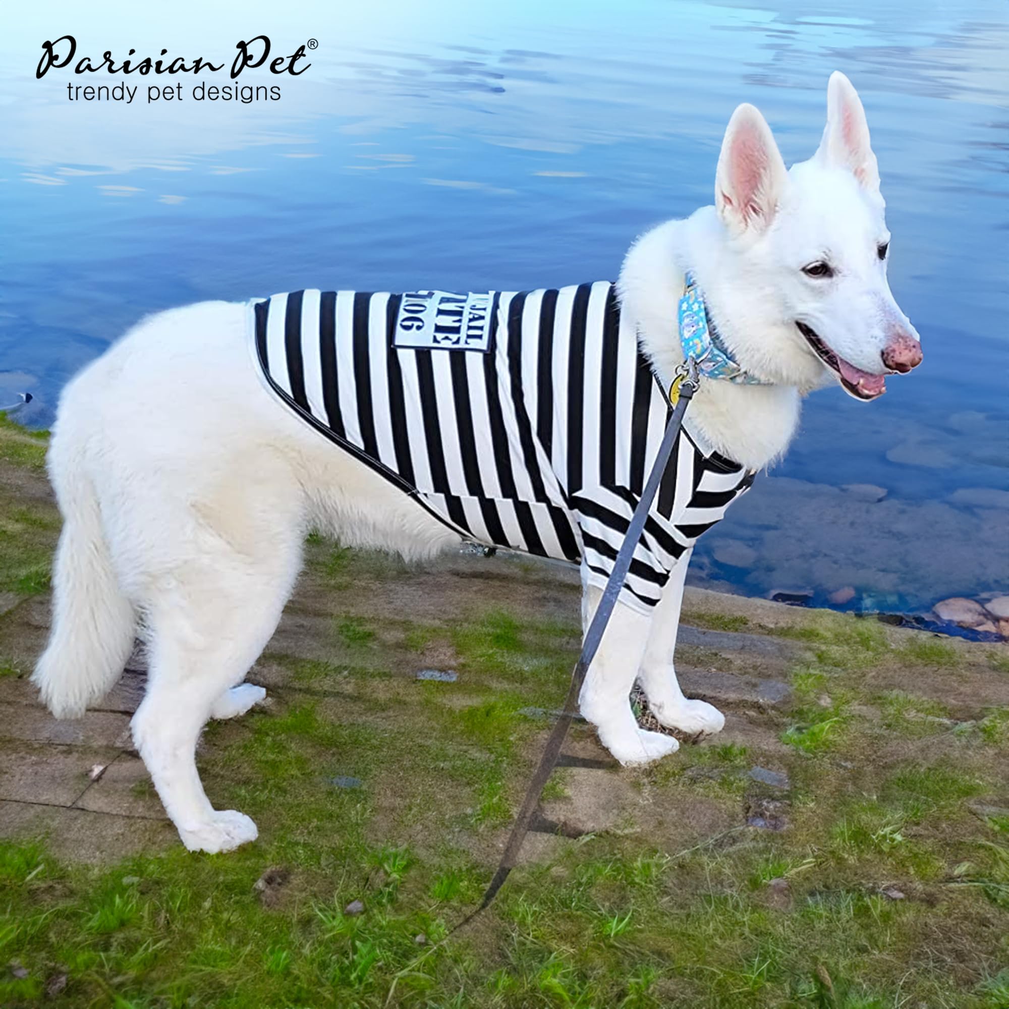 Parisian Pet Dog Shirt - Prisoner Dog Costume - 100% Cotton Black And White Strips Dog Clothes - Lightweight Polyester Dog Shirts - Sleeved Dog Costume For Medium Dogs - Pet Costumes - L