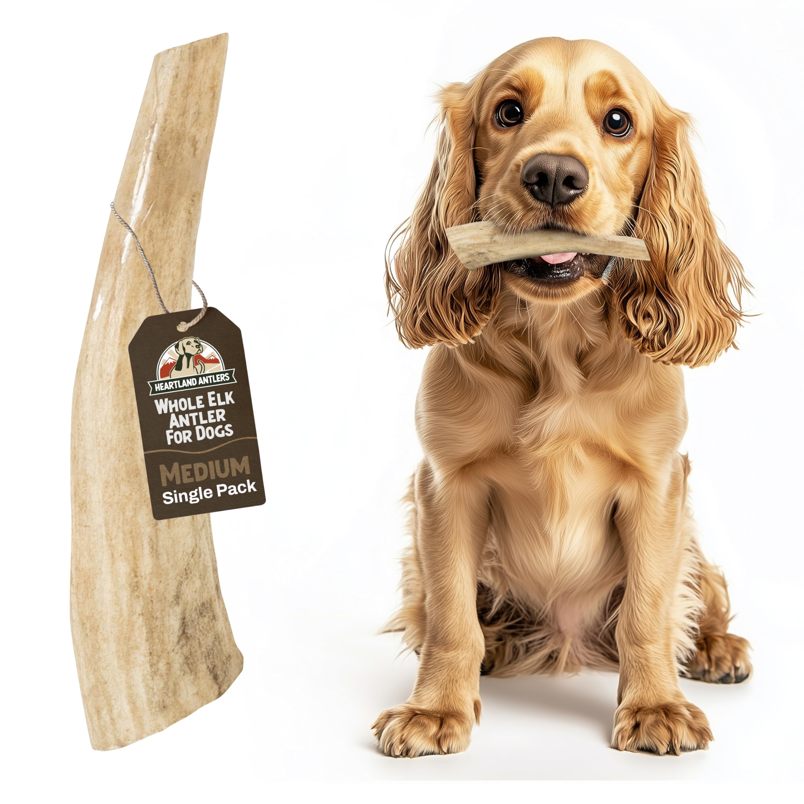 Heartland Elk Antlers for Dogs - Daily Dental Care Chews for Aggressive Chewers to Reduce Plaque & Prevent Destructive Behavior 