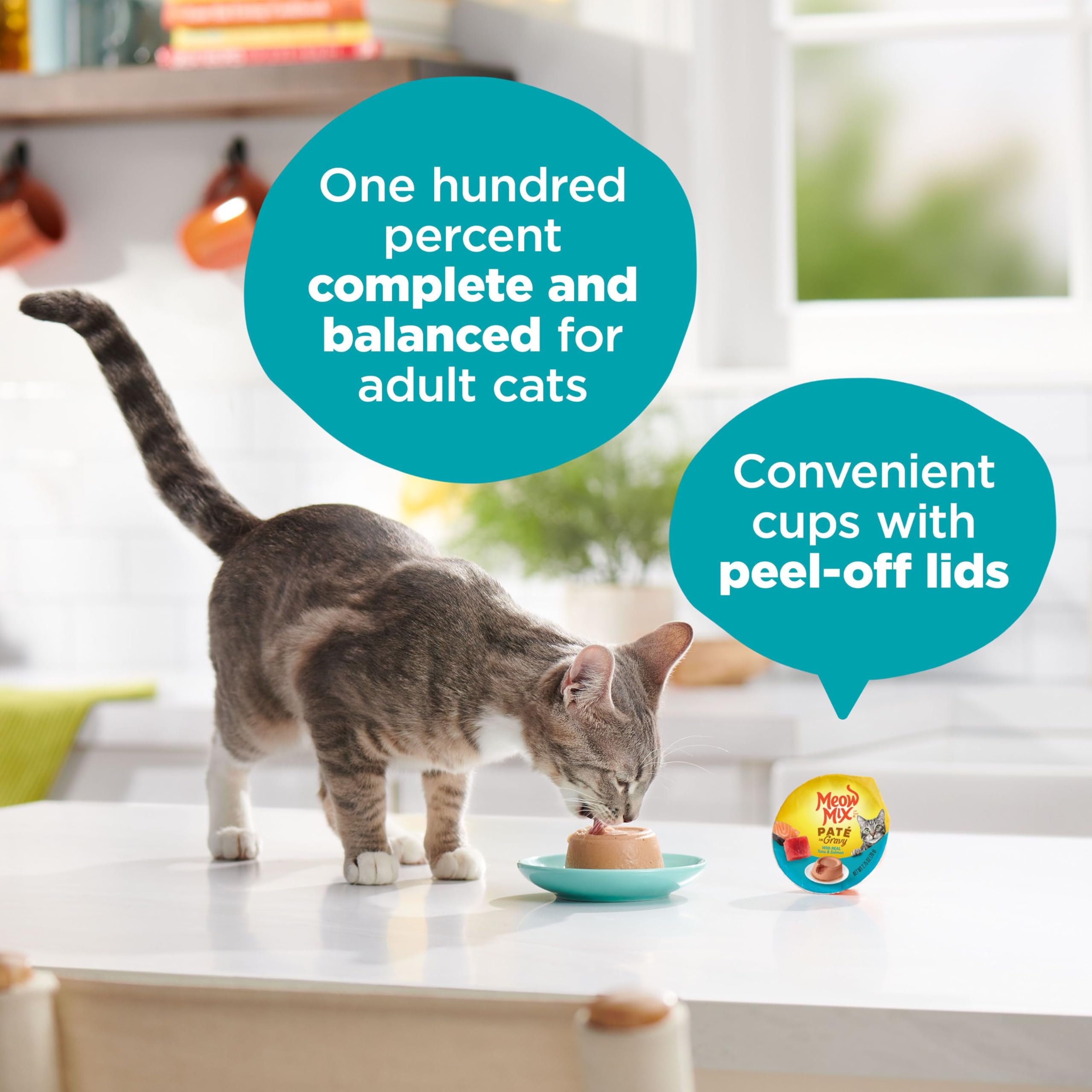 Meow Mix Pat   in Gravy Wet Cat Food with Real Tuna & Salmon, 2.75 Ounce (Pack of 12)
