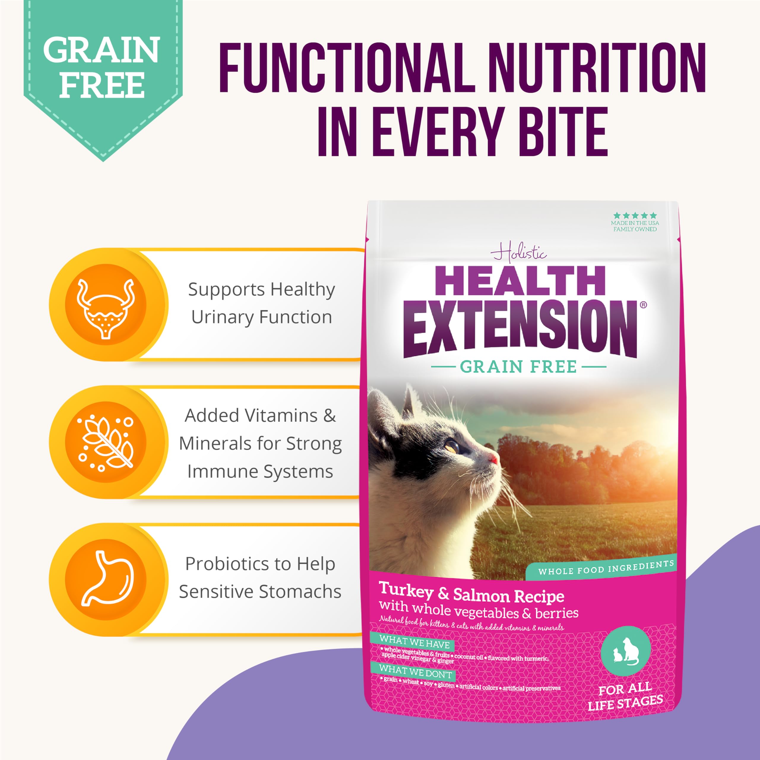 Health Extension Dry Cat Food, (15 lb / 6.8 kg) - Turkey & Salmon Recipe with Whole Vegetables, Berries, Added Vitamins & Minera