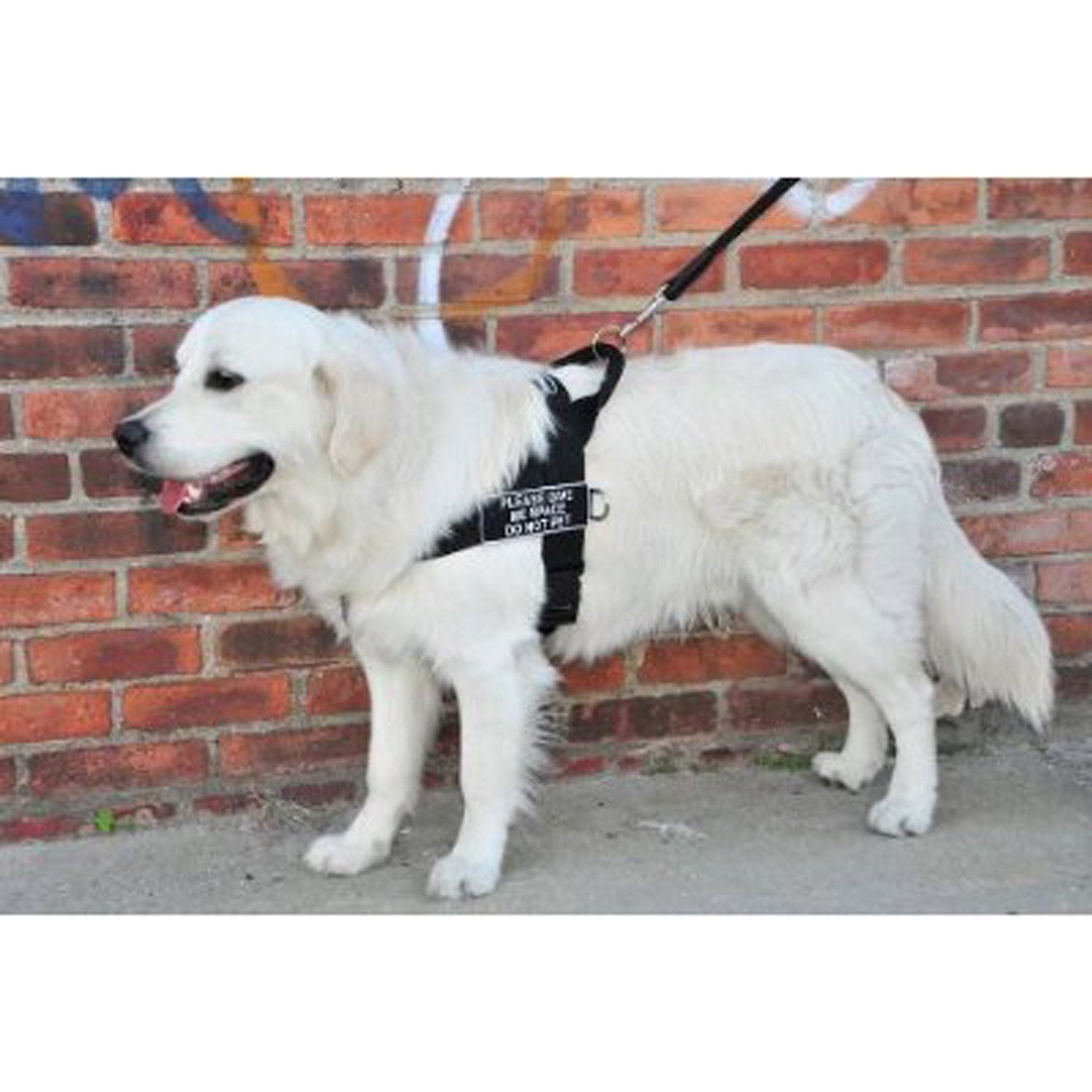 DT Universal No Pull Dog Harness, Please Give Me Space Do Not Pet, Black, Medium, Fits Girth Size: 26-Inch to 32-Inch