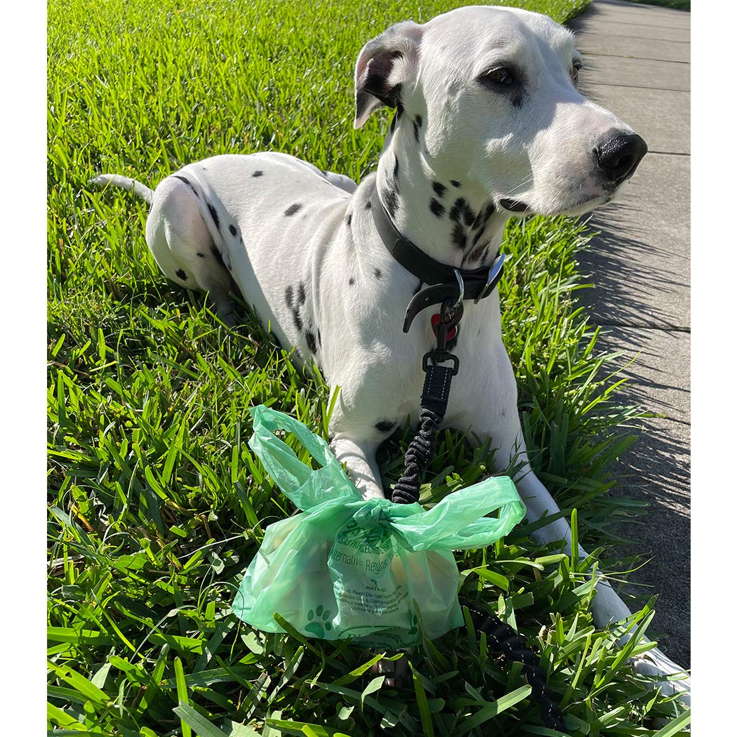 Biobag Premium Pet Waste Bags With Handles, Standard Size, 150 Count, Great For All Dog Breeds