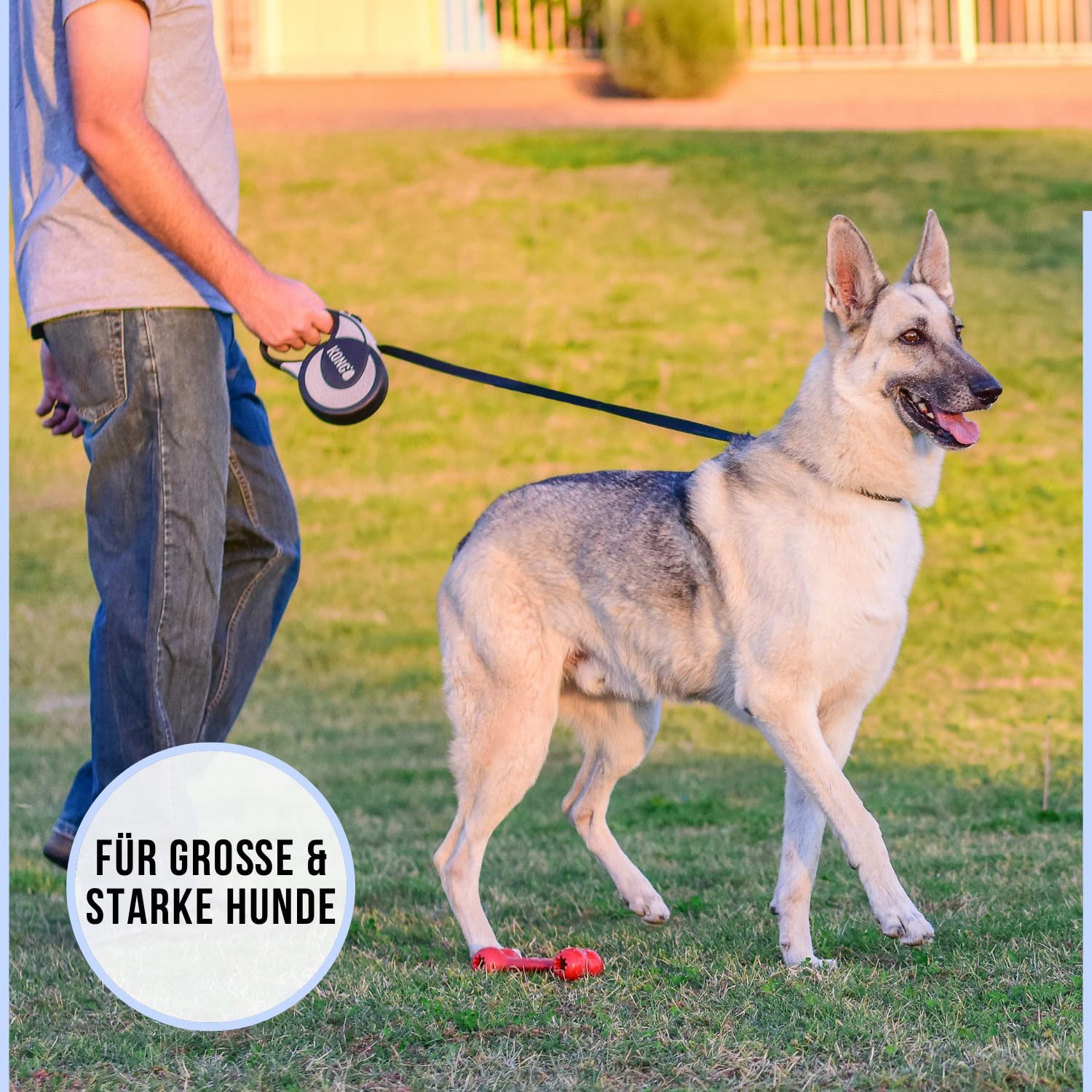 Alcott Kong Ultimate Retractable Dog Leash, Extra Large, Red, 16' Long