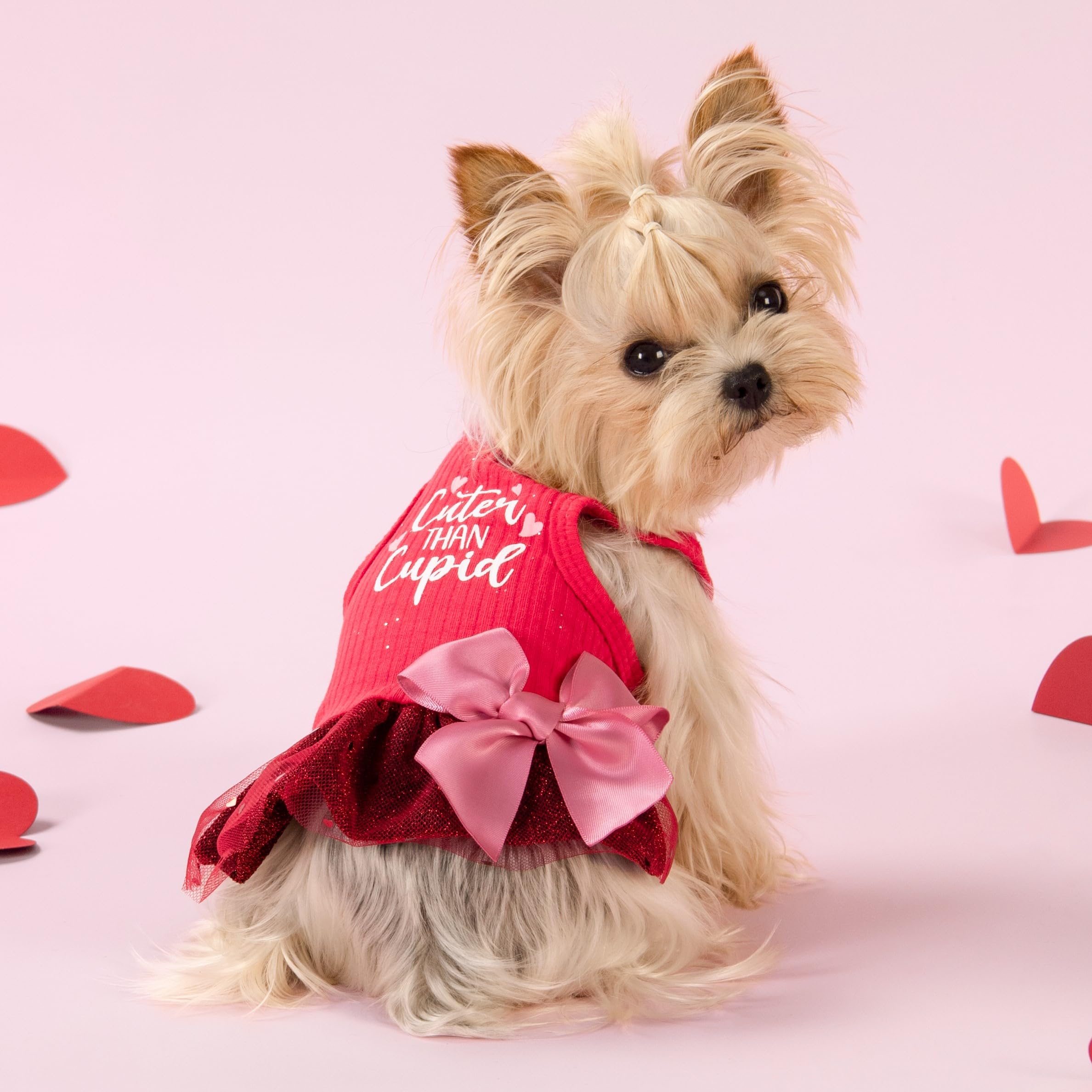 Fitwarm Cuter Than Cupid Dog Tulle Dress, Cute Girl Dog Clothes, Funny Pet Apparel, Burgundy Red, Xs