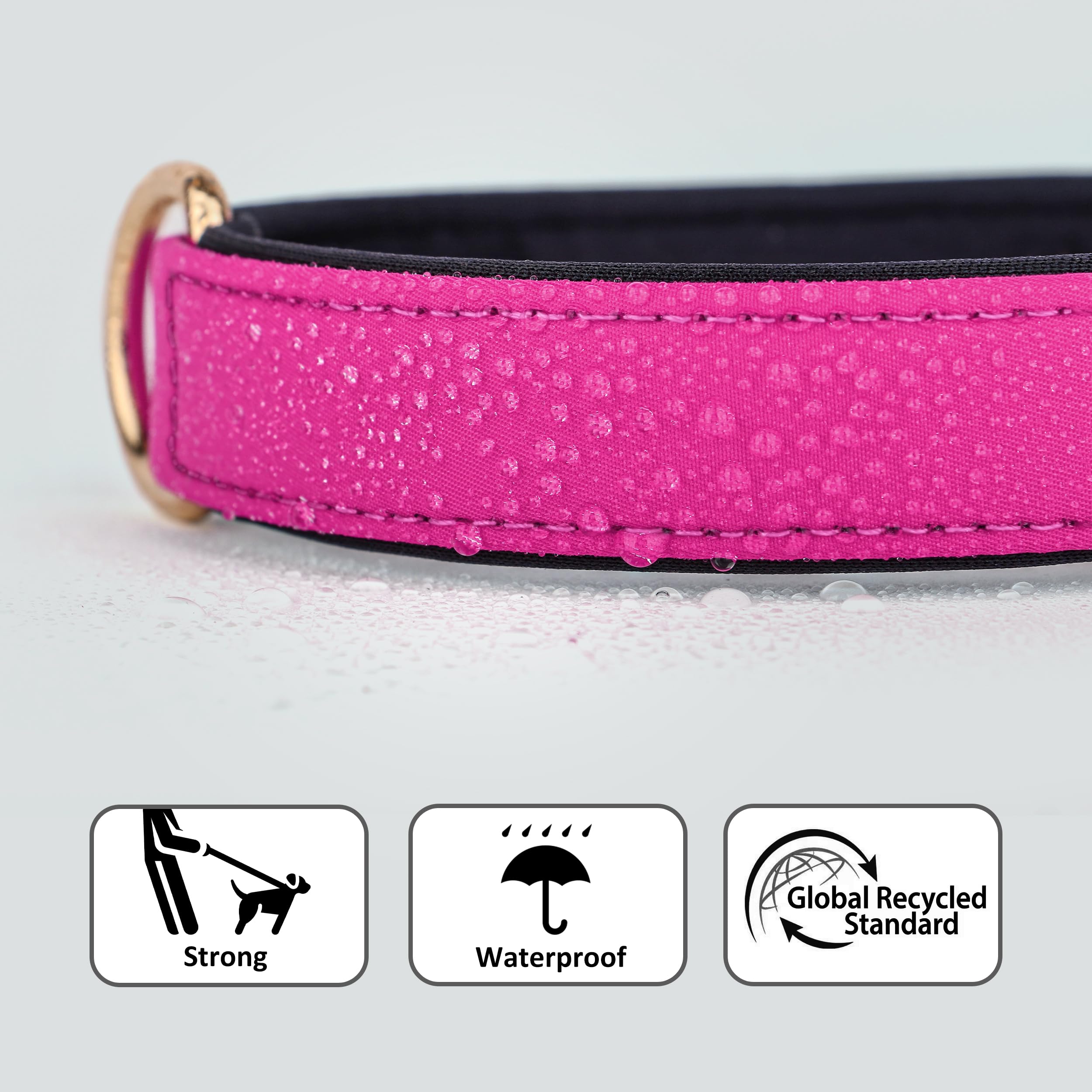 Didog Soft Padded Dog Collars For Medium Dogs, Lightweight And Breathable Dog Collar Waterproof With Metal Buckle, Rose Purple,