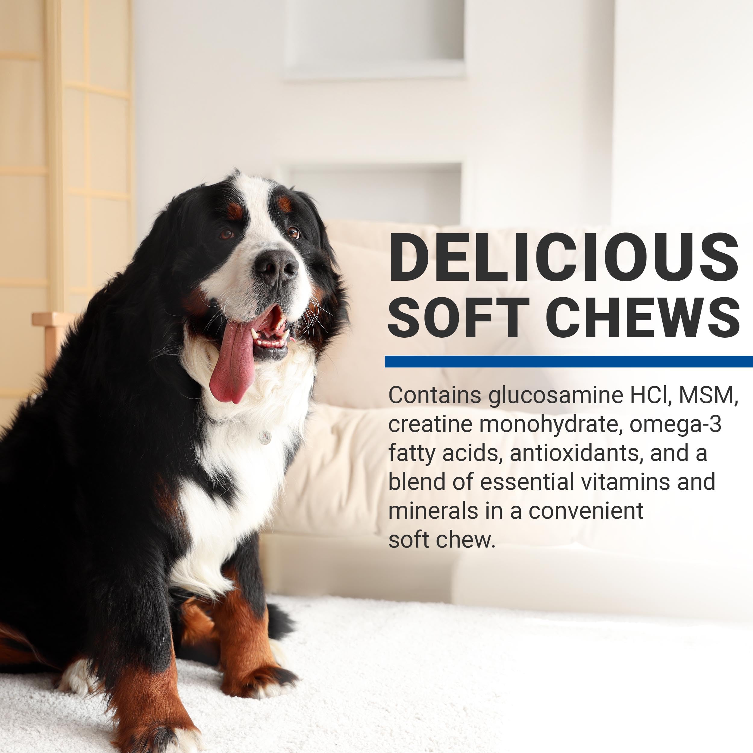 CLASSIC VPS SynovialMax Hip & Joint Soft Chews for Dogs, 60 count