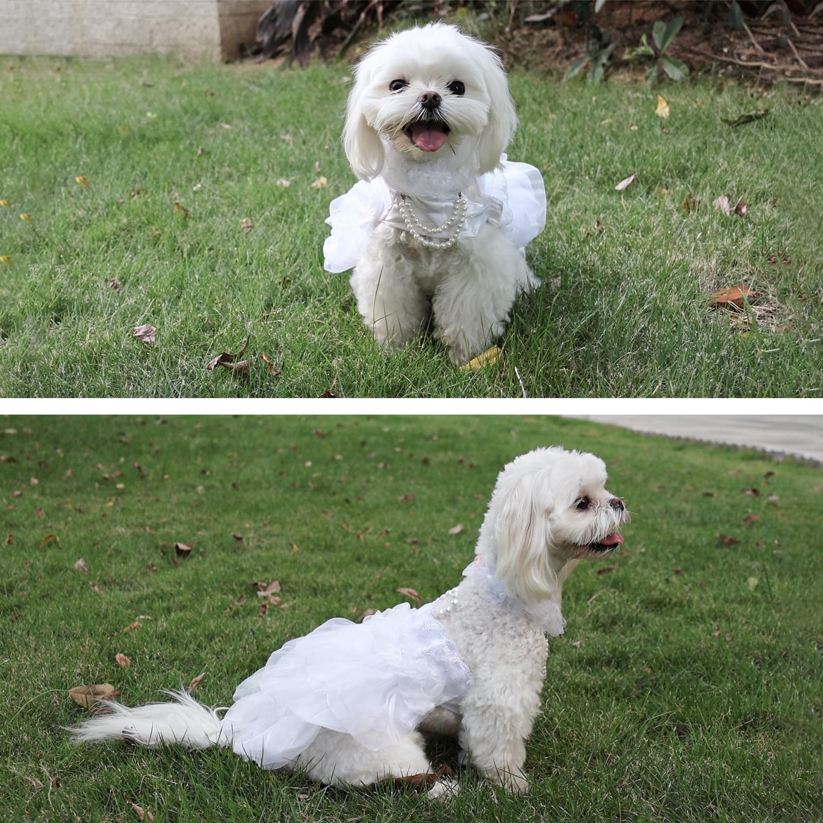 Shiaomin Dog Wedding Dress Bride Outfit With Pearl Necklace And Rose Pet Princess Dress Apparel For Puppy Dog Cat (X-Small)