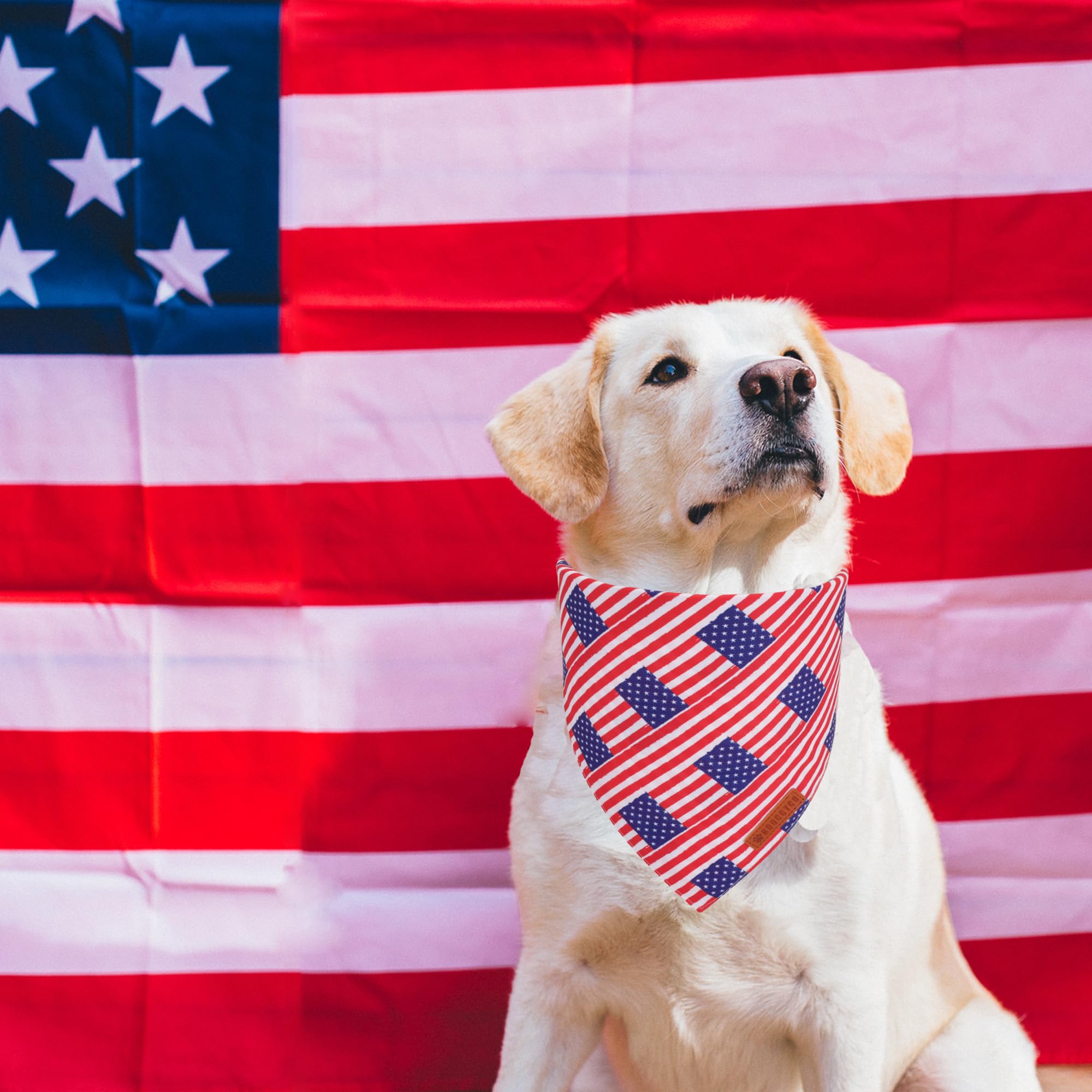 Adoggygo American Flag Dog Bandanas, Red Blue Patriotic Eagles Usa Flag Scarf, Multi Size, 4Th Of July Bandana For Small Dogs Pe