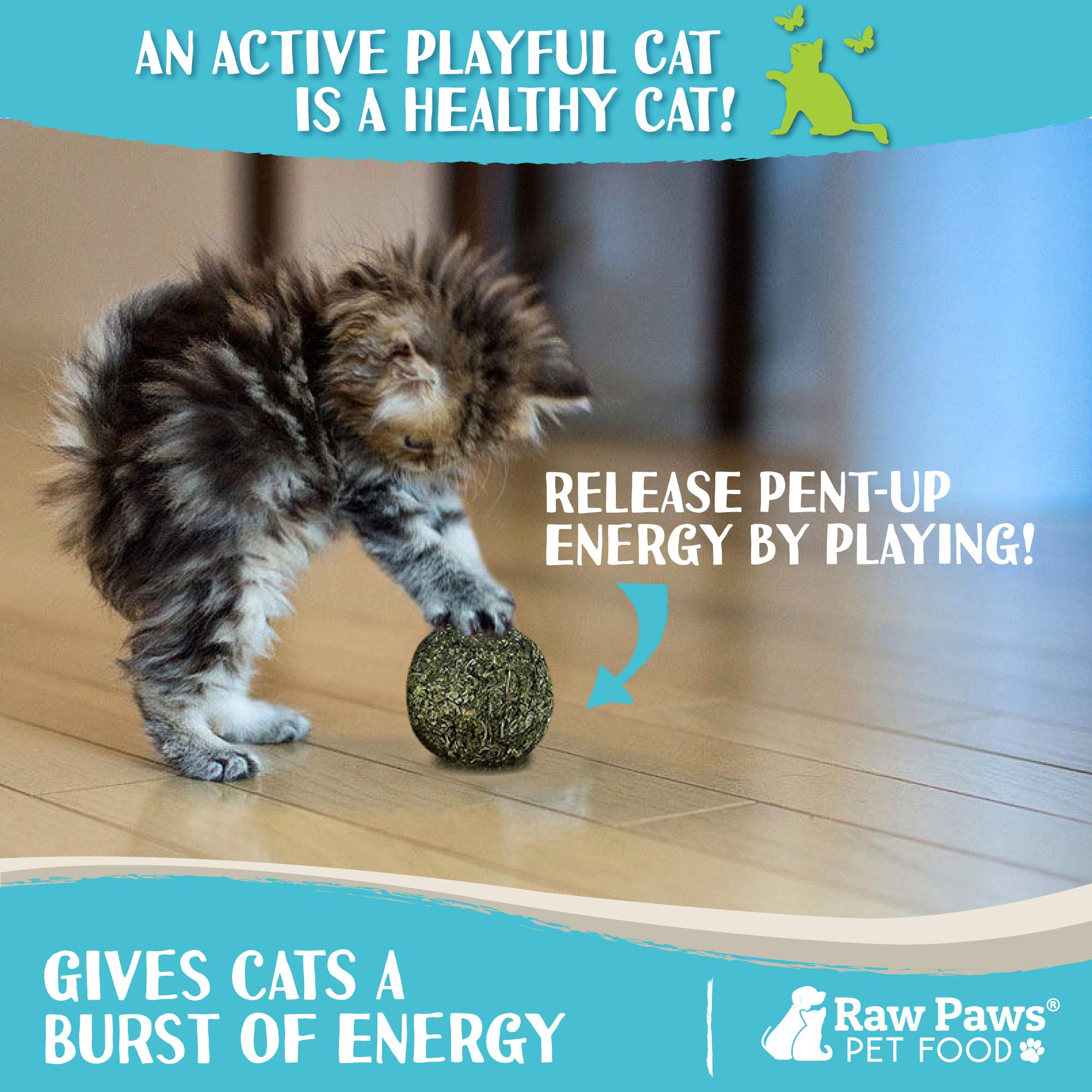 Raw Paws Catnip Balls - Interactive Cat Toy, 6-Pack, Natural Catnip for Indoor Cats and Kittens