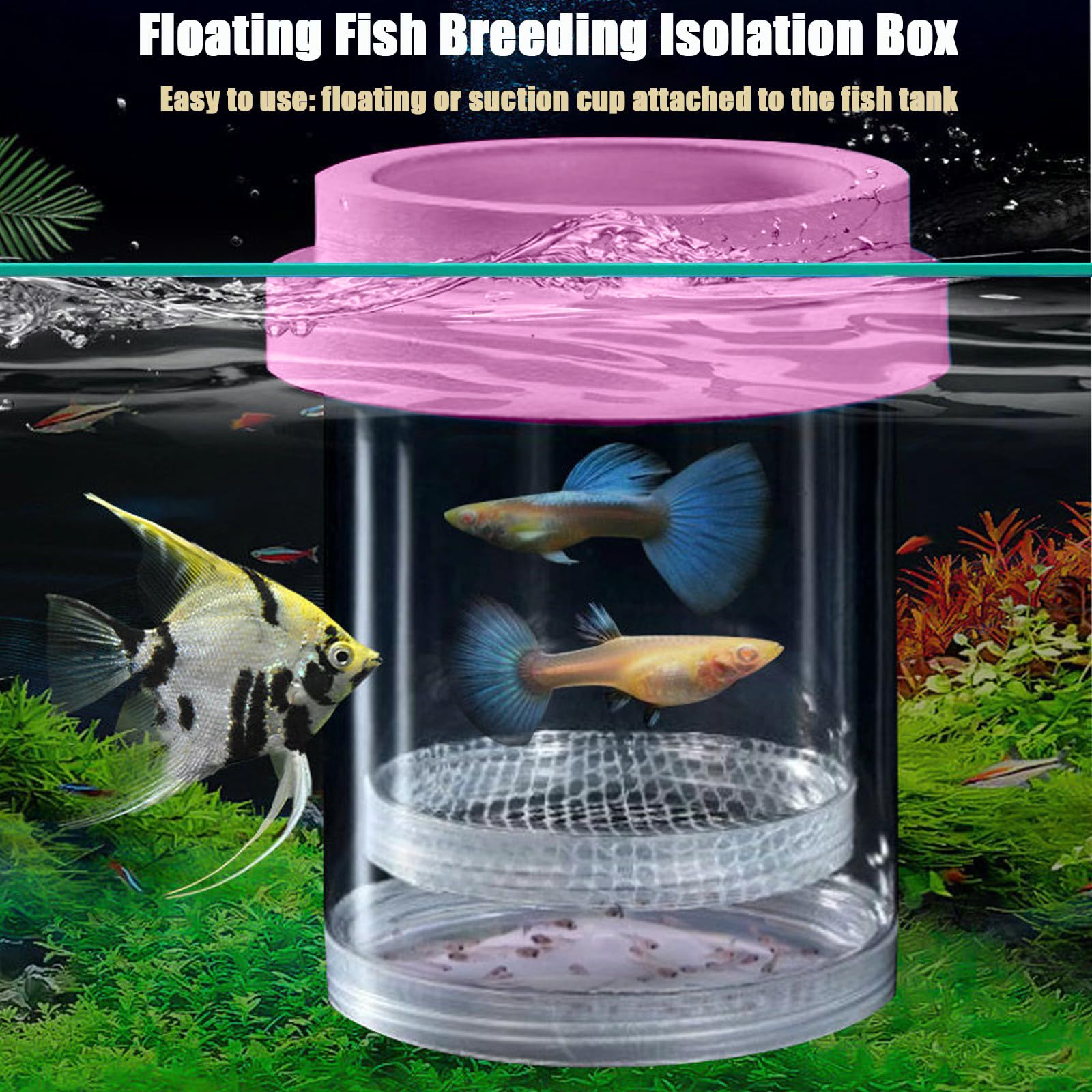 Floating Fish Breeding Isolation Box For Aquarium Tank Plastic Mesh Hatchery Incubator Breeder Box For Baby Fish Betta Shrimp Cl
