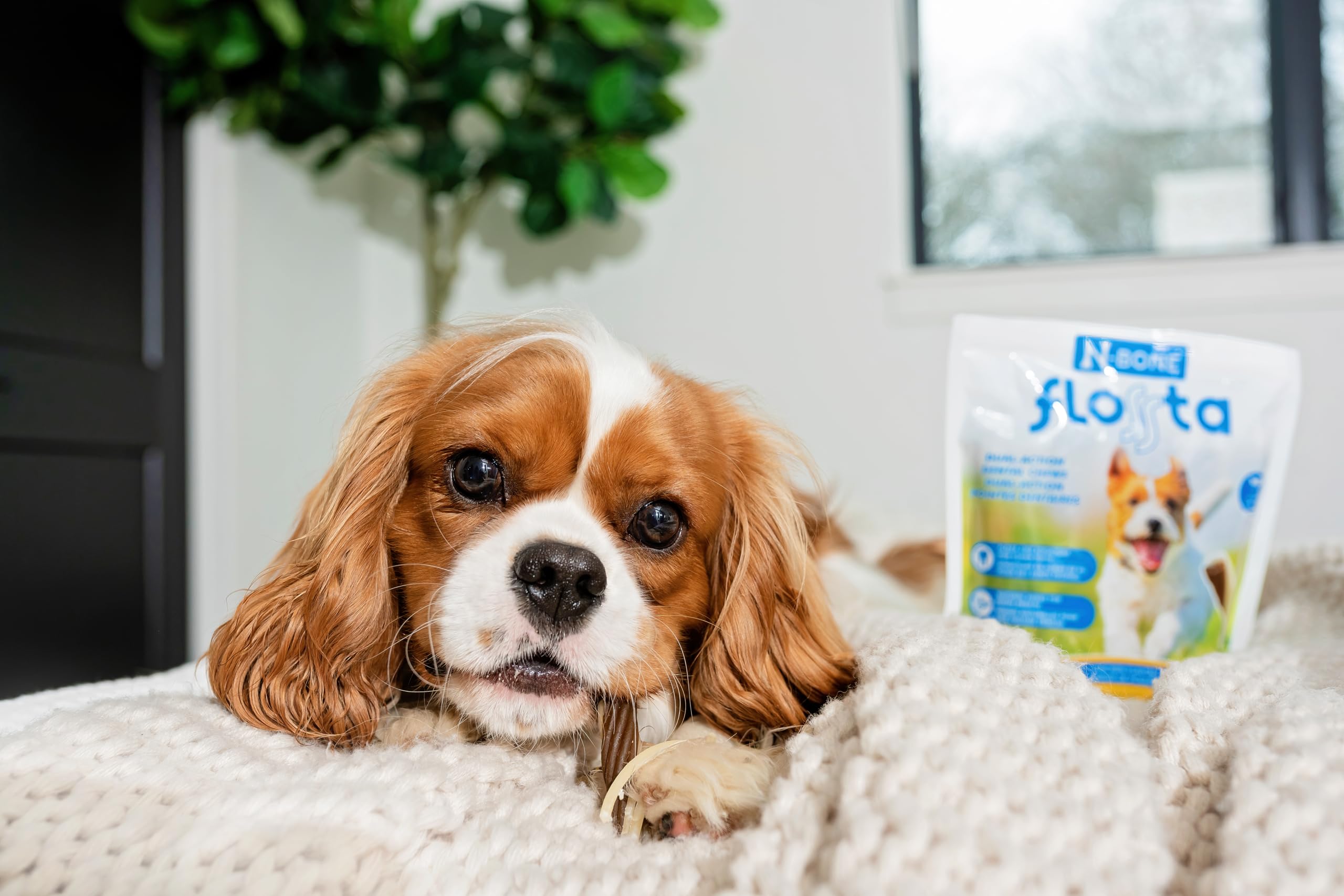 N-Bone FLOSSta Dual Action Dental Chews Mint Flavor, 6.4-oz Bag