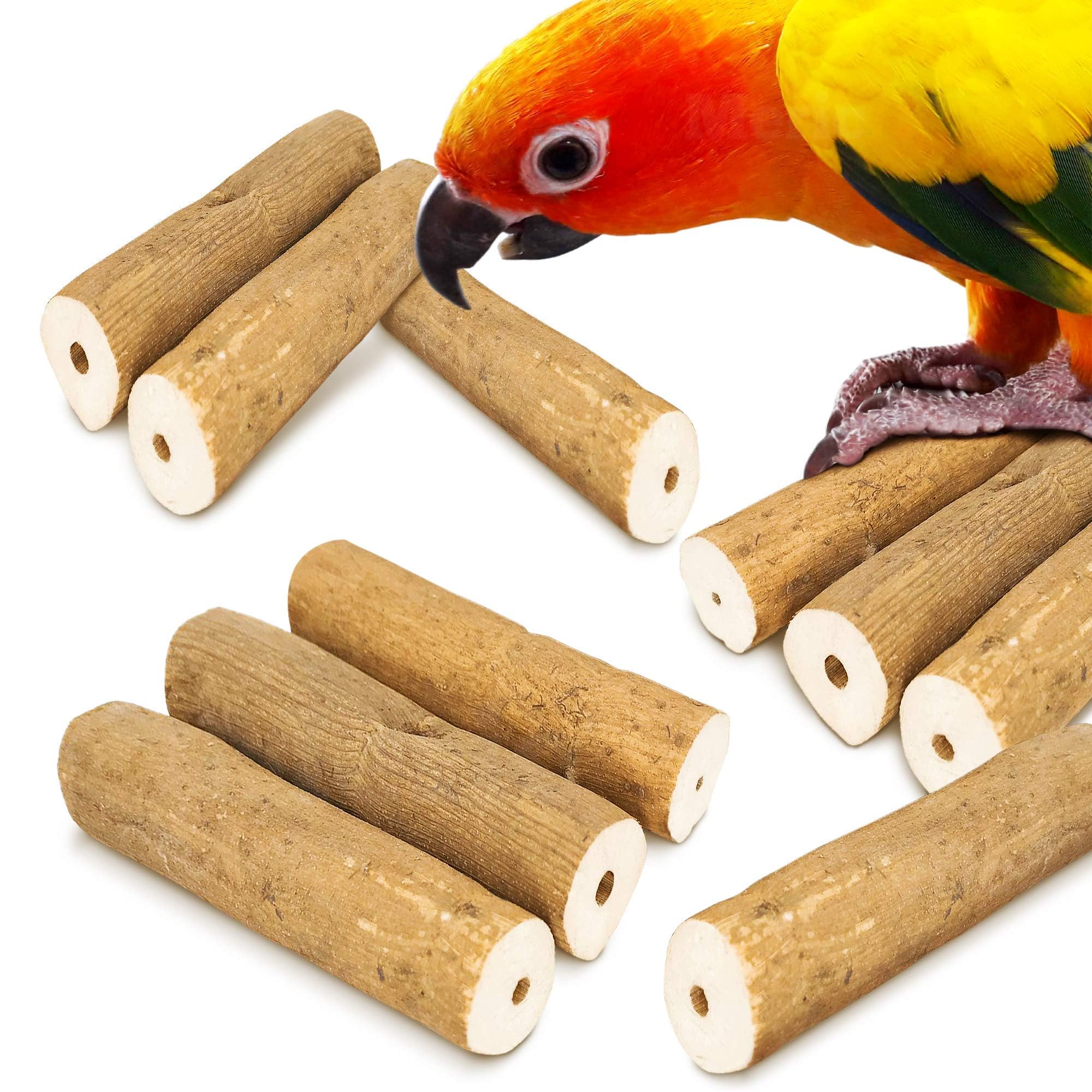 Cocoo Bark Sola Sticks With Skin For Parrots, Cockatiel Chew Forage Toy, Round Wood Foot Exercisers For Budgie, Conures, Beak, A