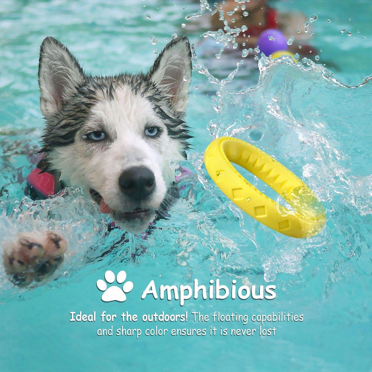 Fluffy Paws Dog Chewing Ring - Soft Rubber Ring Dental Chewing Teething Biting Chasing Training Toy For Small And Medium Dog Puppy - 7', Yellow