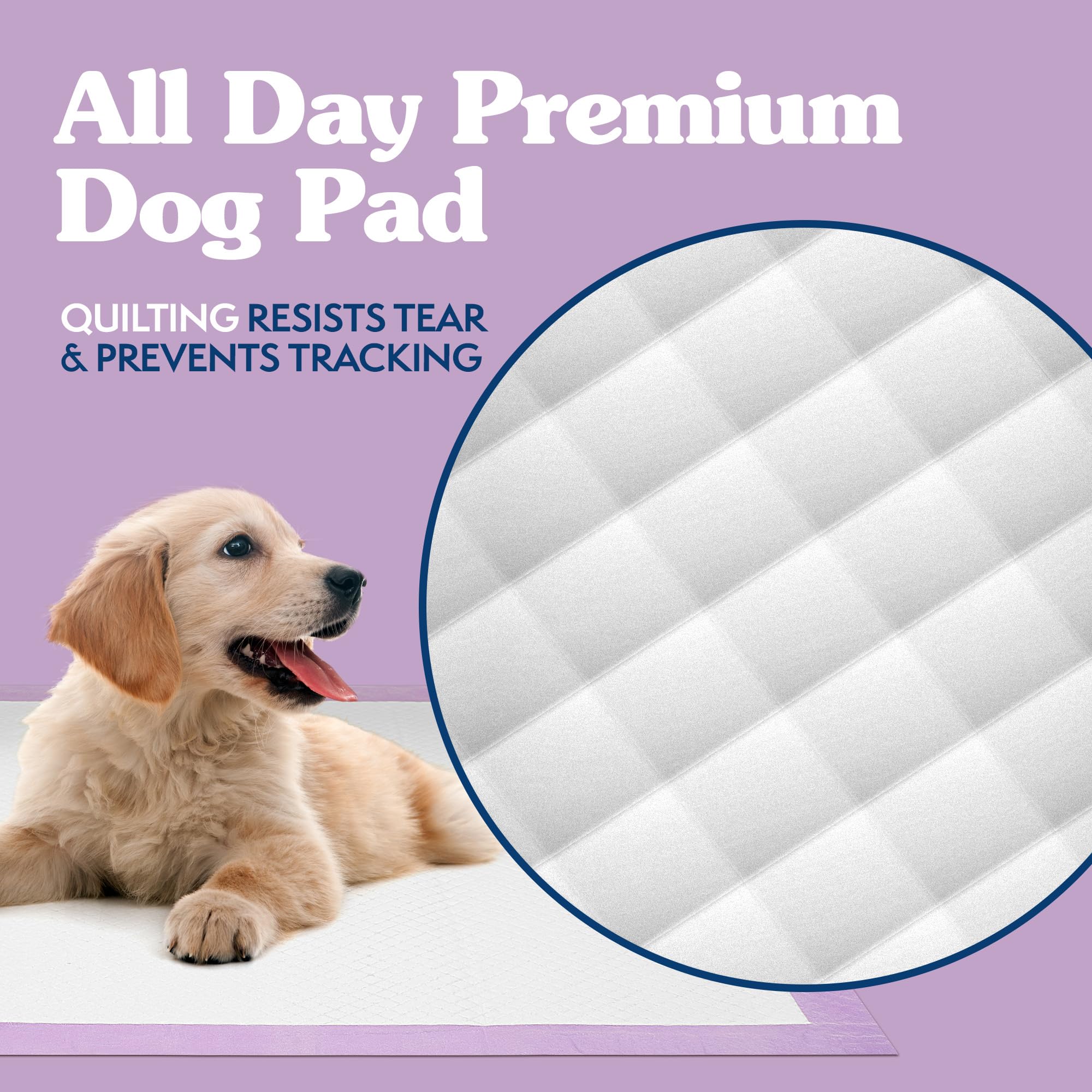 Simple Solution 6-Layer All Day Premium Dog Pads | Lavender Scent | 23 X 24 100 Pads