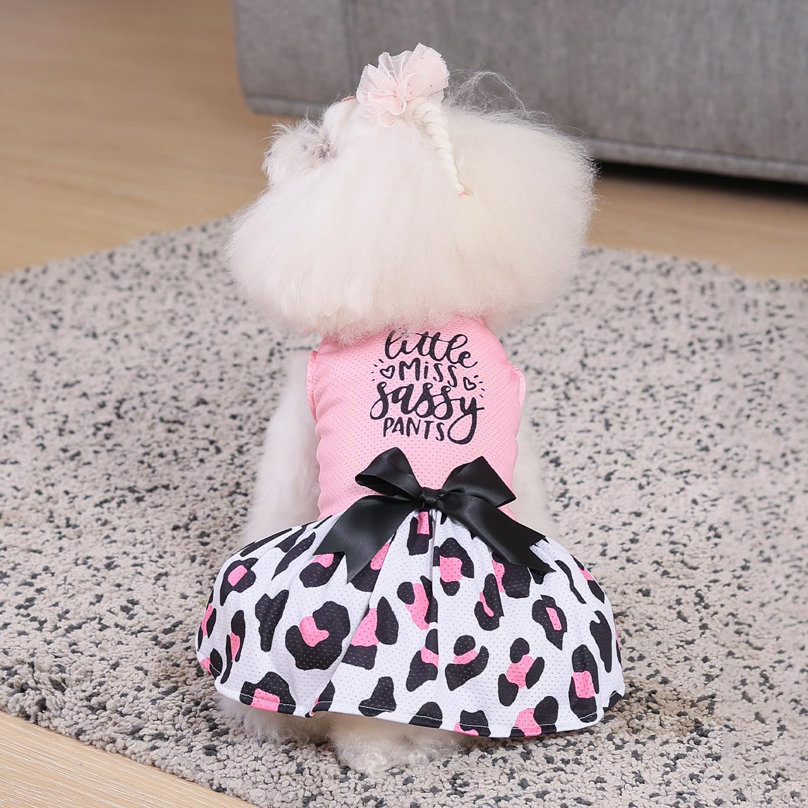 Cutebone Dog Mesh Dress Puppy Sundress Pet Outfit Summer Fashion For Small Dogs Girl Cat Clothes Bf30Xxs-D