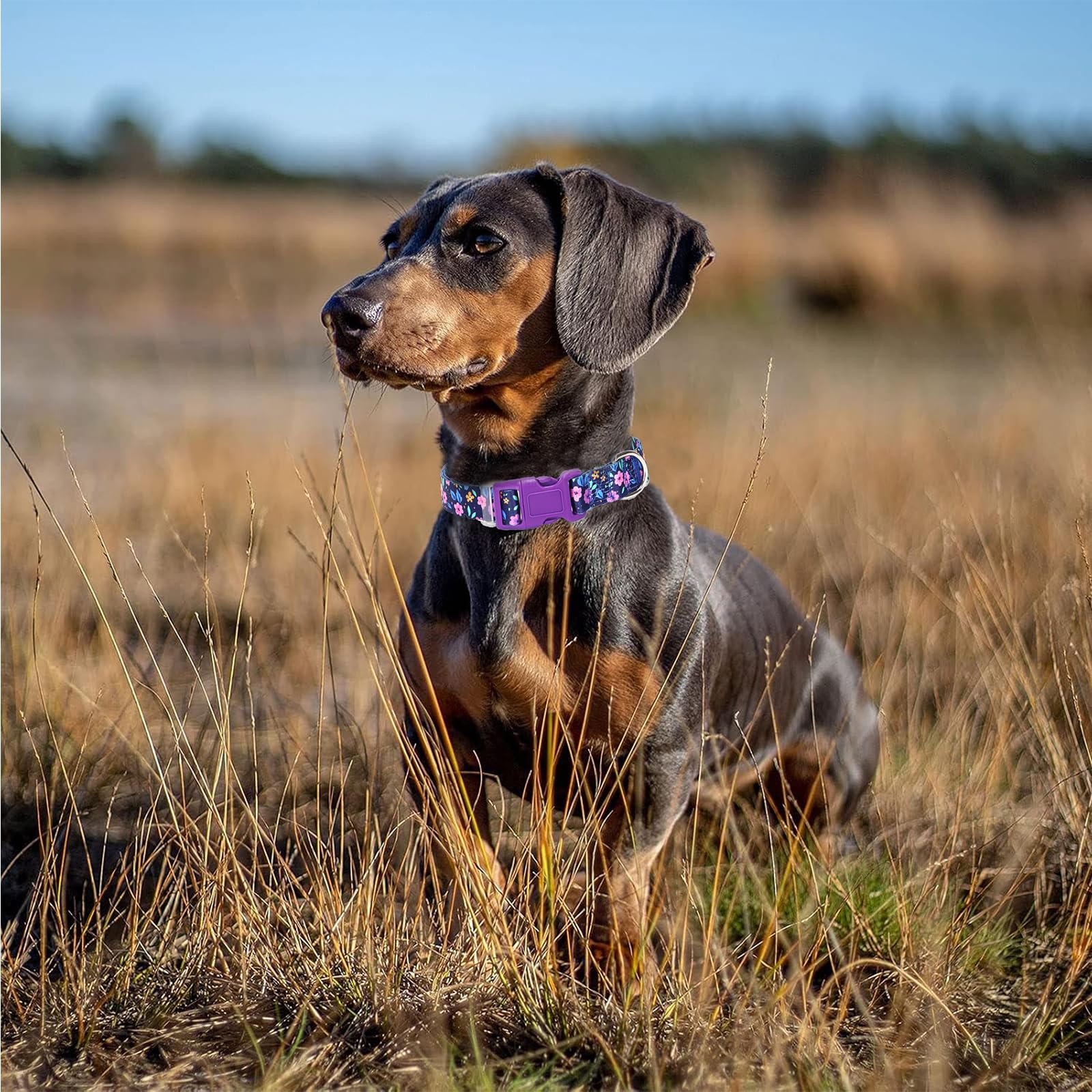 Purple Dog Collars For Large Dogs,Cute Girl Dog Collar With Boho Flowers Patterns,Adjustable Comfy Soft Durable Pet Collar For S