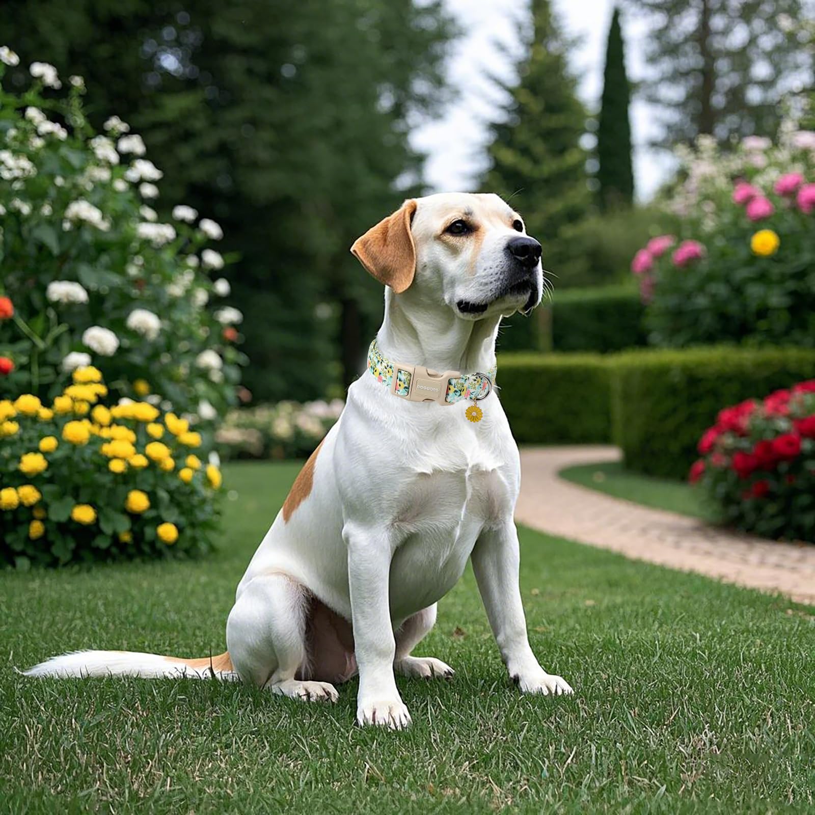 Dogwong Flower Cotton Dog Collar, Spring Summer Cute Yellow Dog Collar Durable Soft Fabric Pet Dog Collars Female Girl Necklace