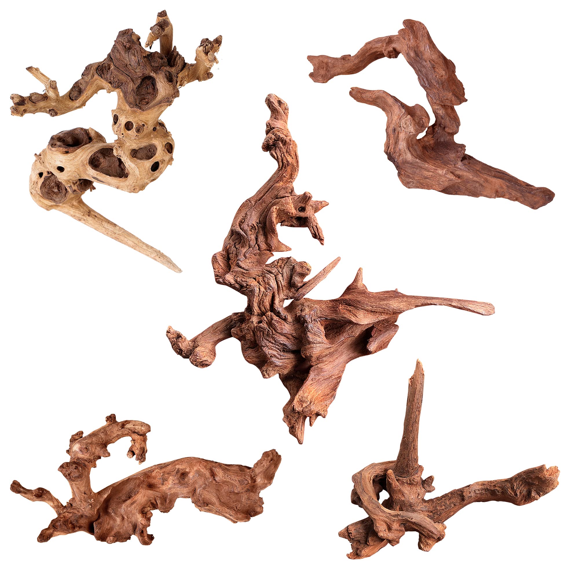 majoywoo Natural Small Coral Driftwood for Aquarium Decor Fish Tank Decorations, Assorted Driftwood Branch 4.5-7.5 5 Pcs, Reptil