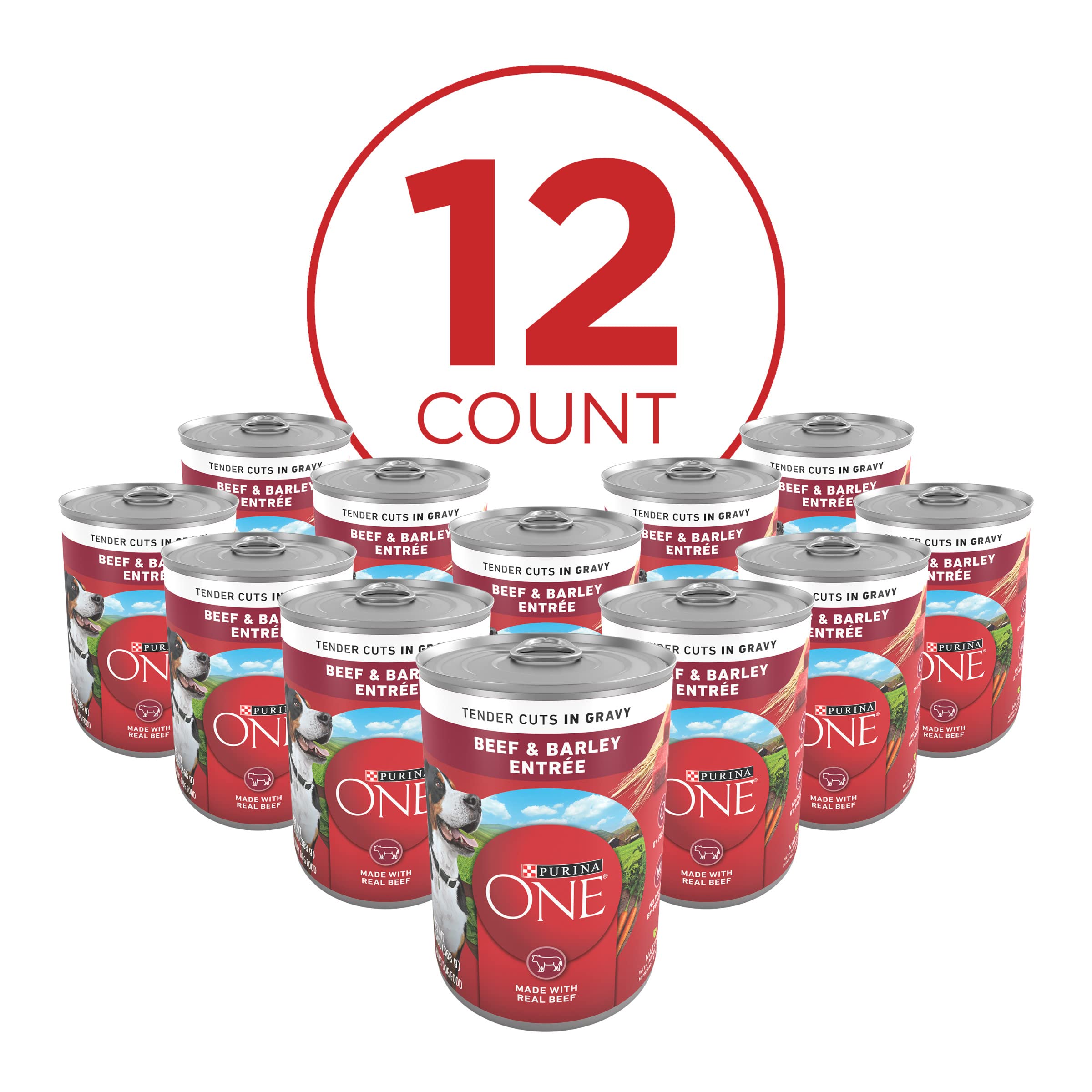Purina ONE Natural Wet Dog Food Gravy, Tender Cuts in Gravy Beef and Barley Entr  e - 13 Ounce (Pack of 12)